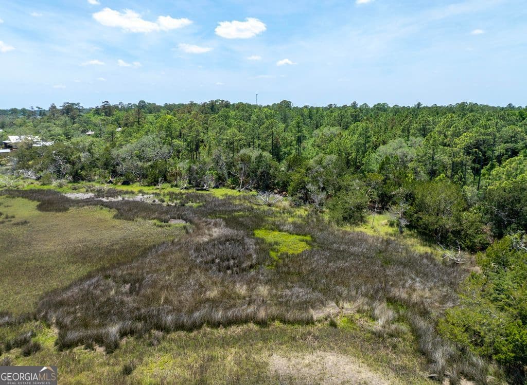 unimproved land for sale at 0 21 Road ACRES DOVER BLUFF, Waverly, GA 31565 — photo 8