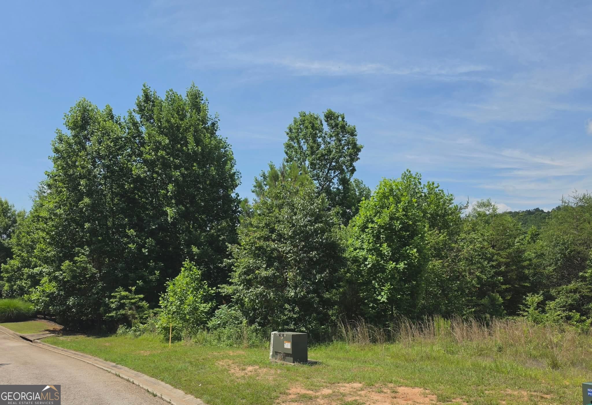 residential lot for sale at 155 Coneflower Lane, Toccoa, GA 30577 — photo 2