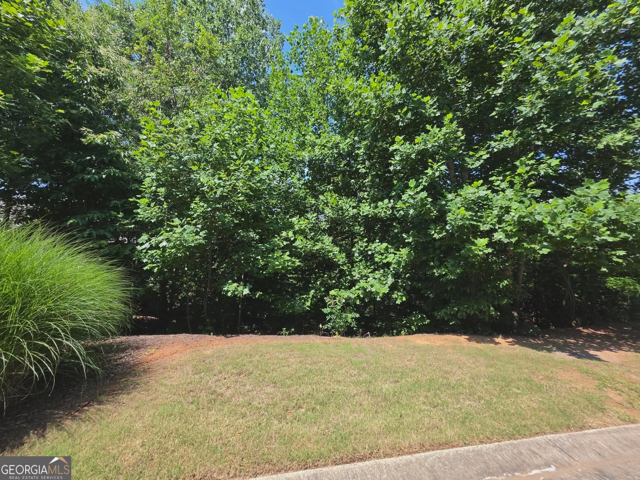 residential lot for sale at 155 Coneflower Lane, Toccoa, GA 30577 — photo 3