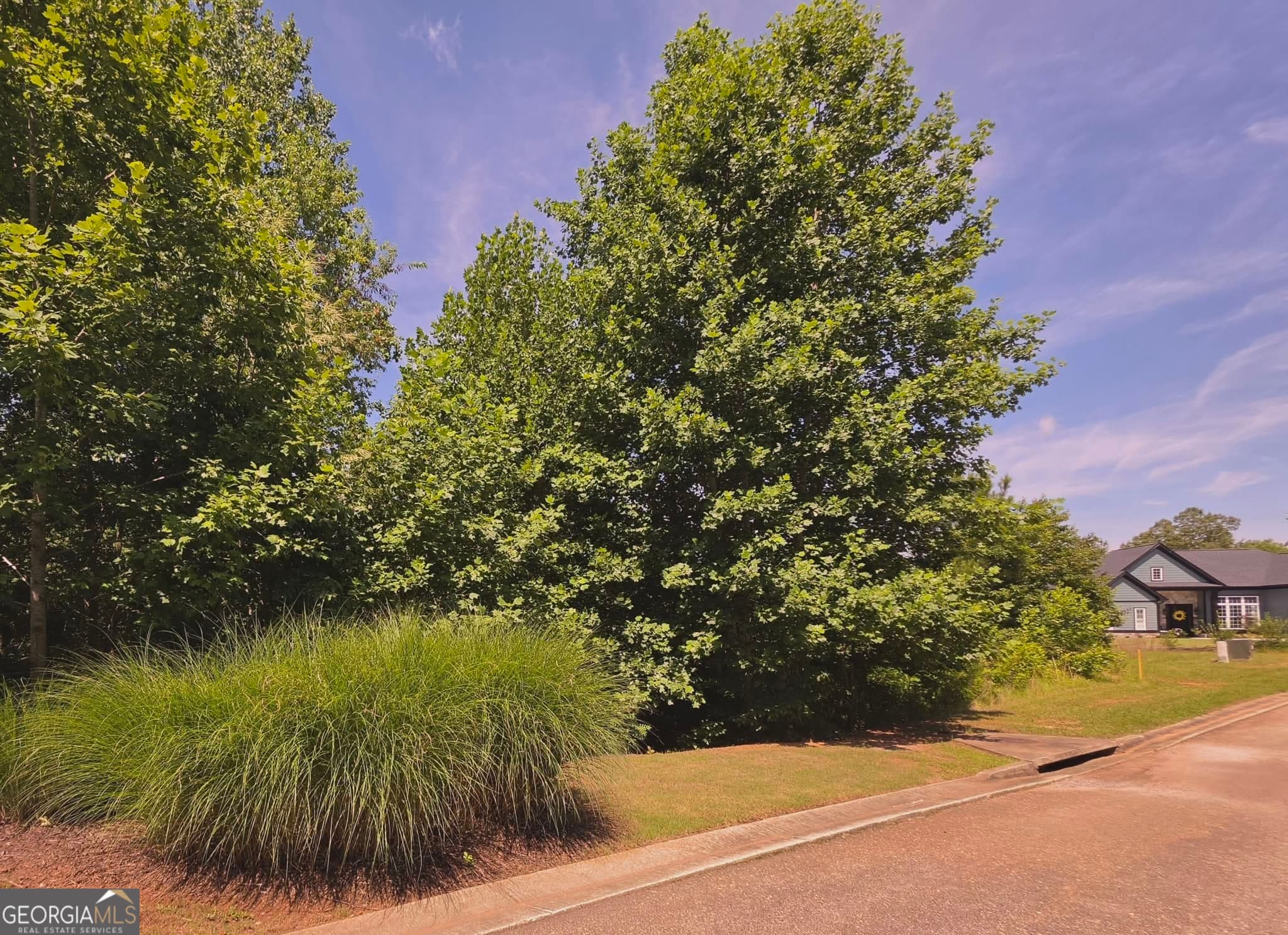 residential lot for sale at 155 Coneflower Lane, Toccoa, GA 30577 — photo 1 of 7