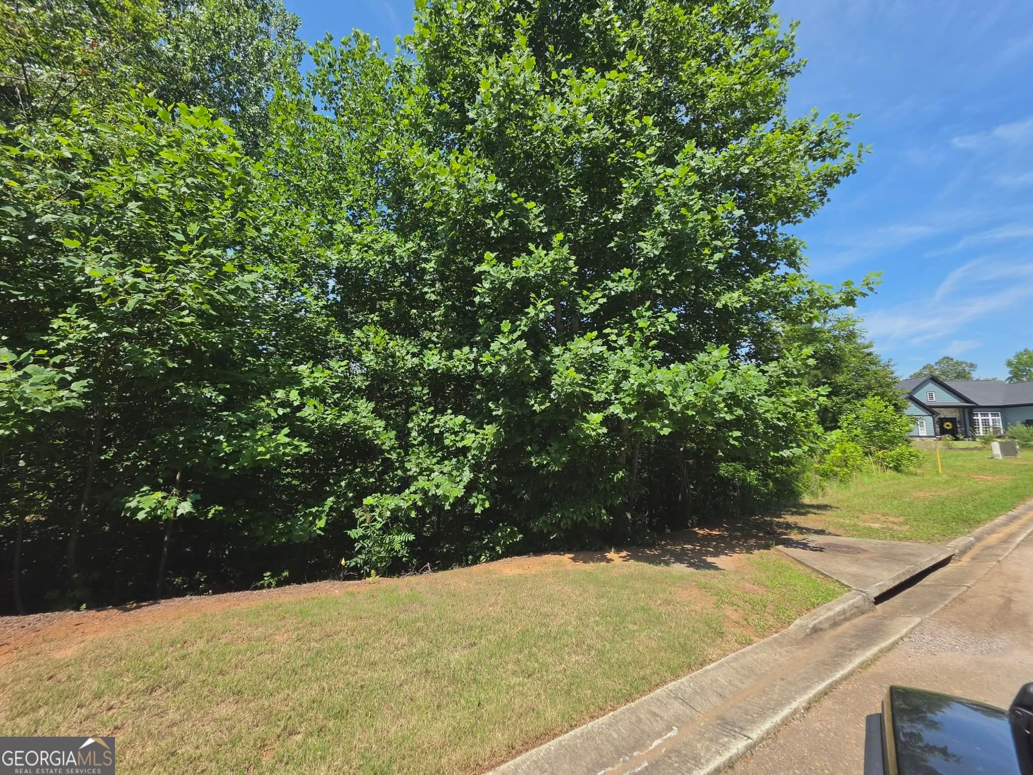 residential lot for sale at 155 Coneflower Lane, Toccoa, GA 30577 — photo 5