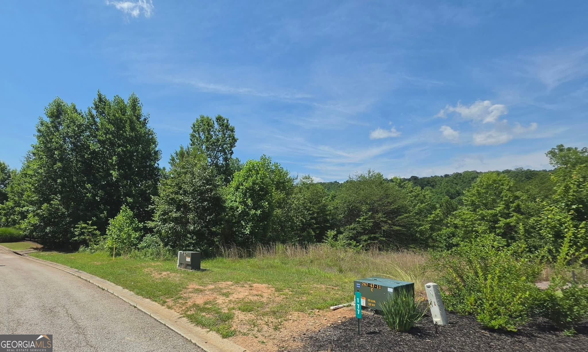 residential lot for sale at 155 Coneflower Lane, Toccoa, GA 30577 — photo 4