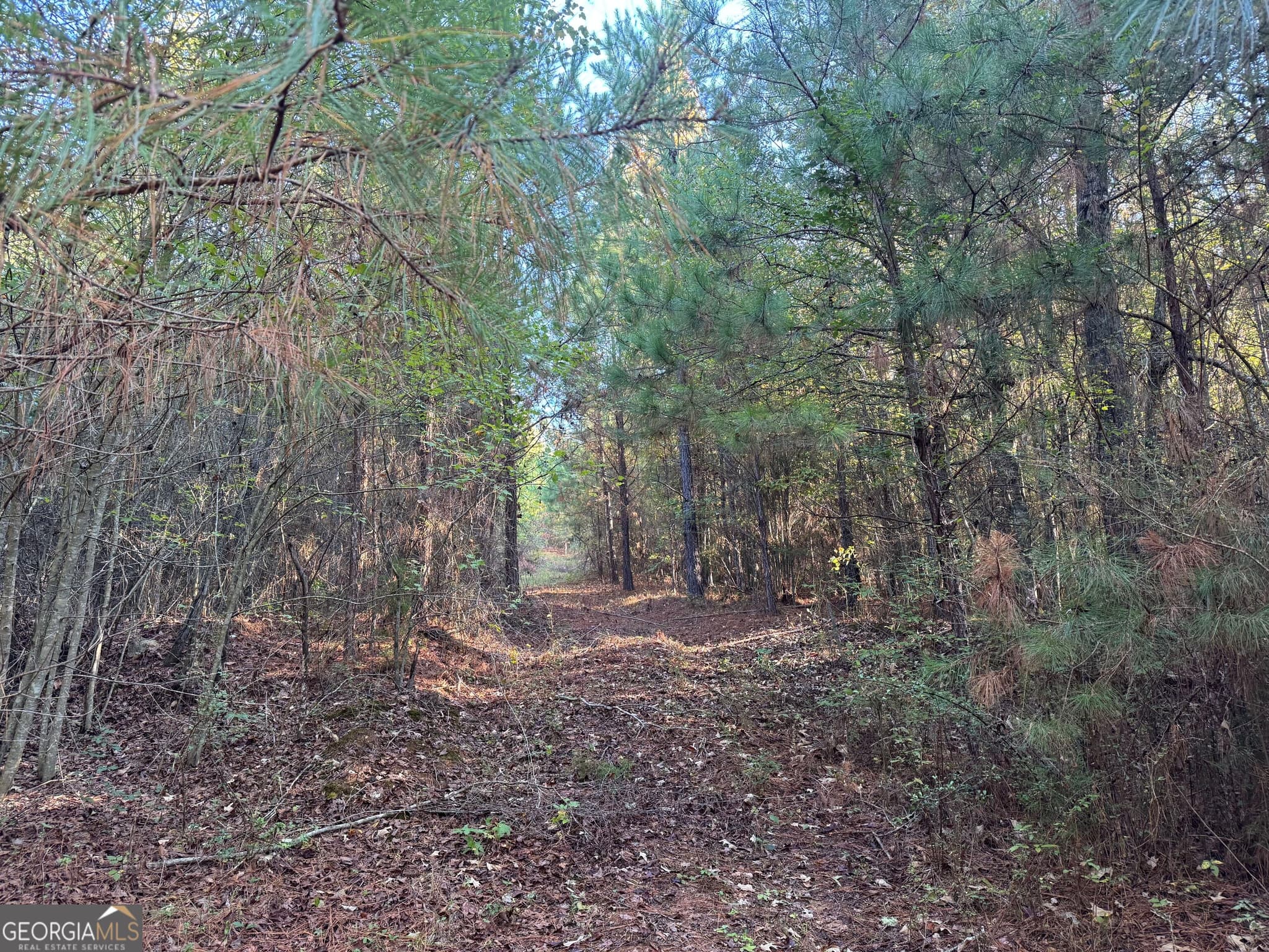 residential lot for sale at TRACT 12 Butler Road, Franklin, GA 30217 — photo 2