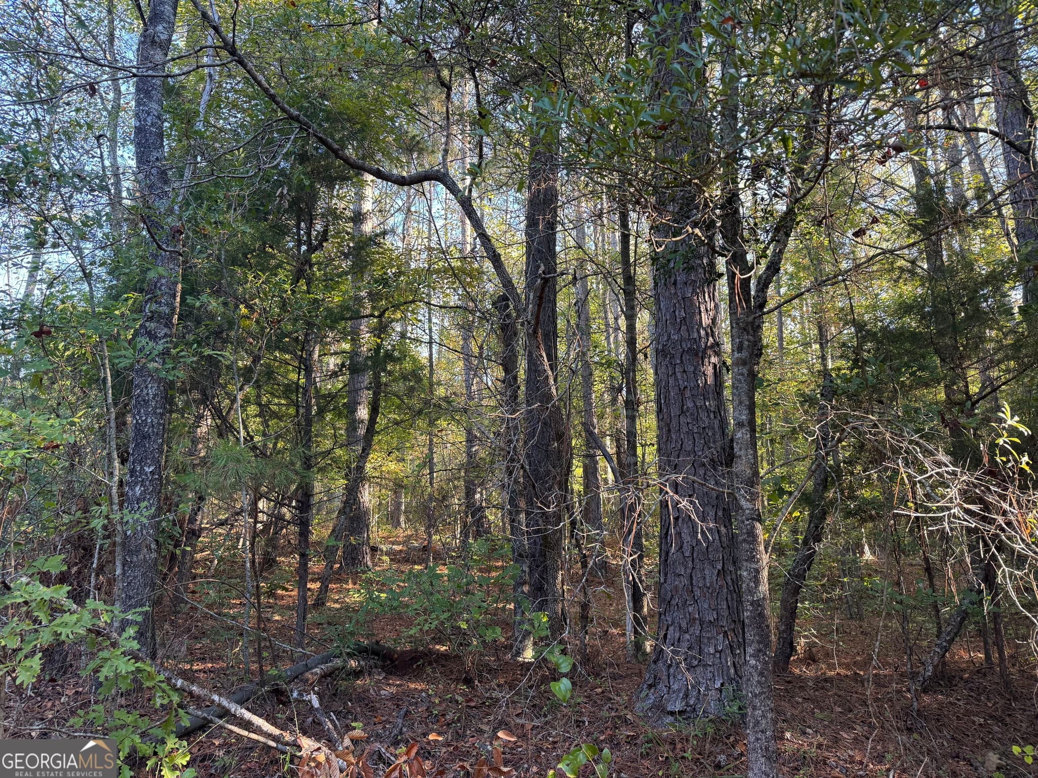 residential lot for sale at TRACT 12 Butler Road, Franklin, GA 30217 — photo 3