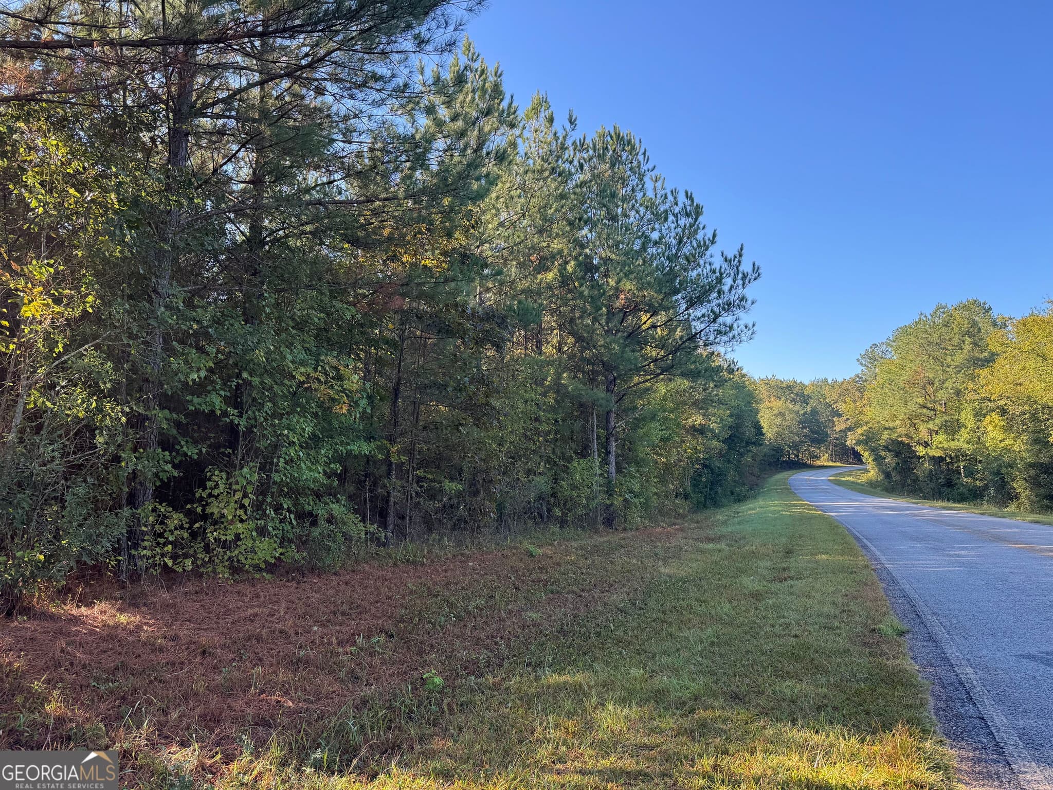 residential lot for sale at TRACT 12 Butler Road, Franklin, GA 30217 — photo 1 of 4