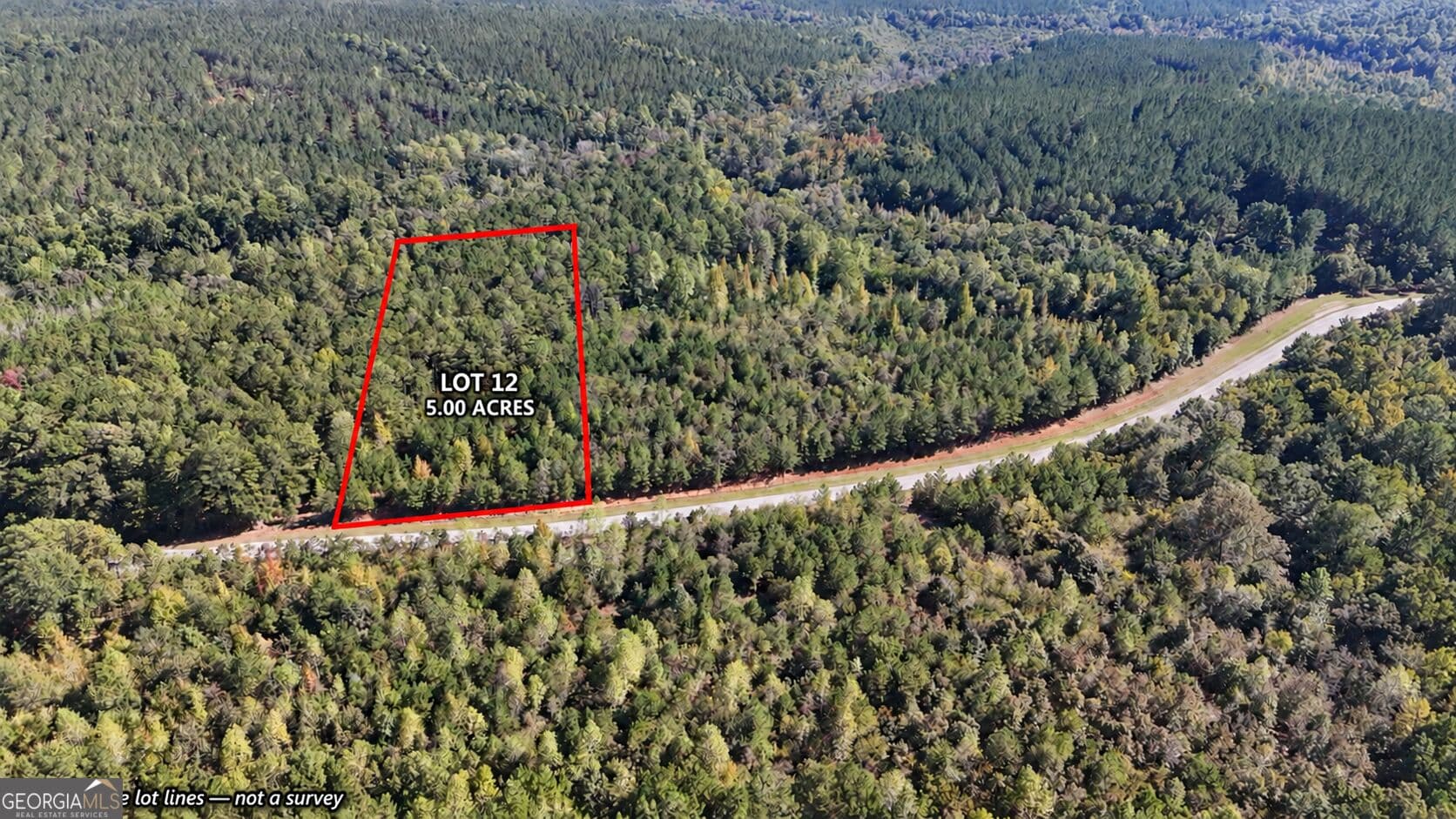 residential lot for sale at TRACT 12 Butler Road, Franklin, GA 30217 — photo 4