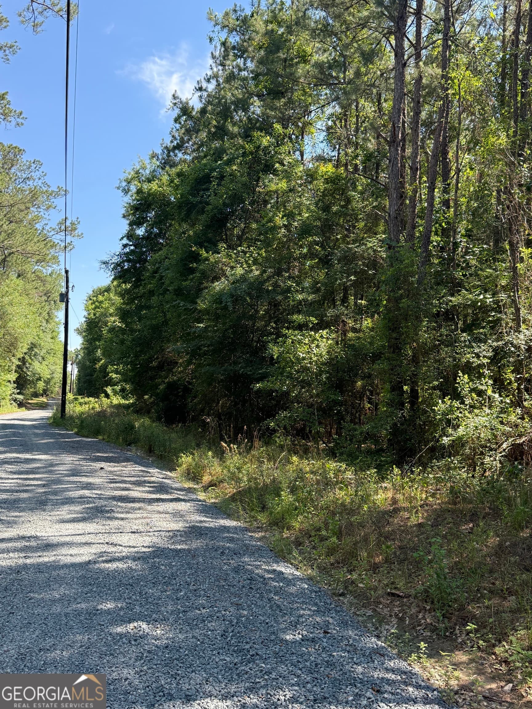 unimproved land for sale at 0 Appian Way, Baconton, GA 31716 — photo 2