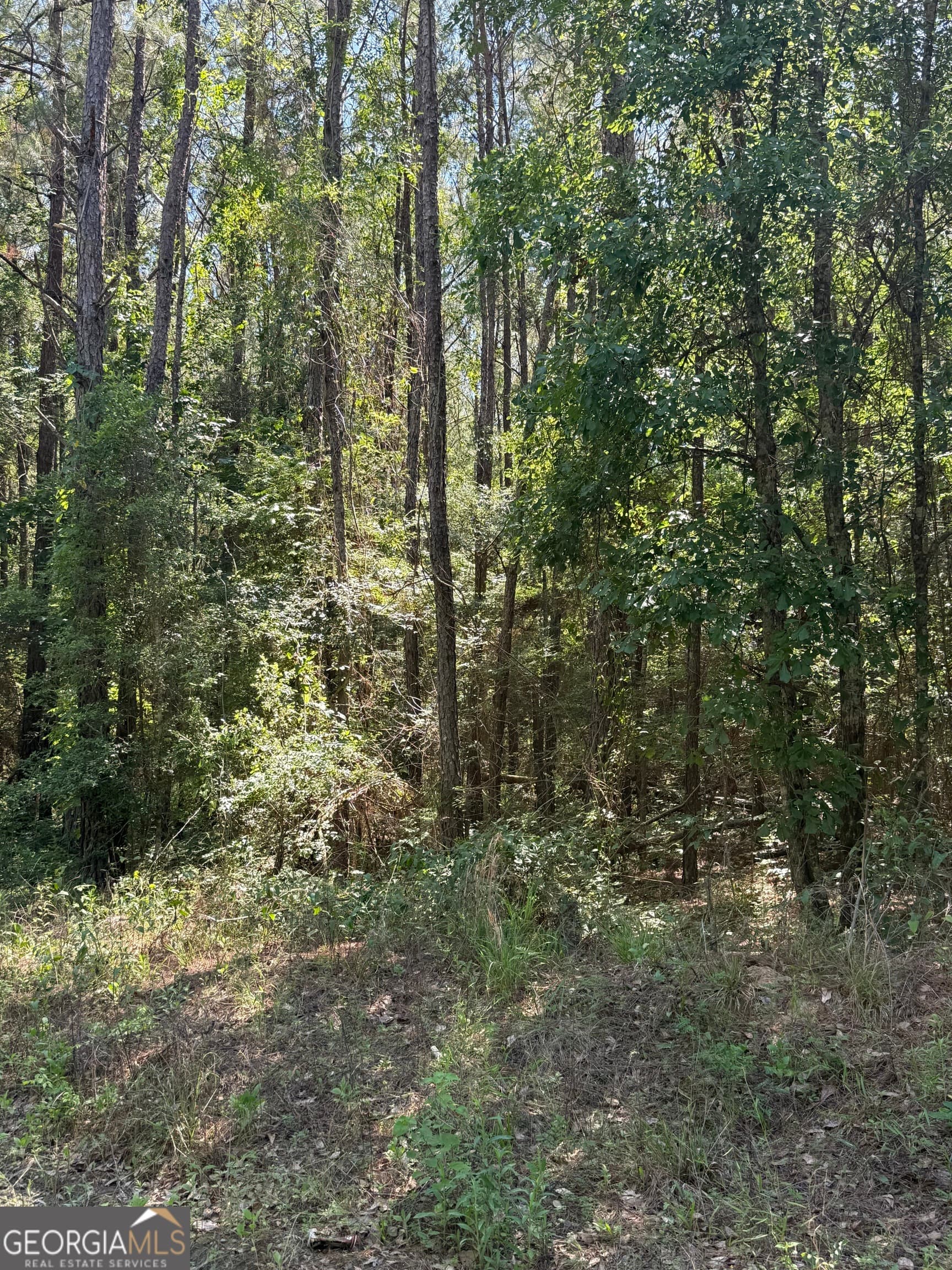unimproved land for sale at 0 Appian Way, Baconton, GA 31716 — photo 3