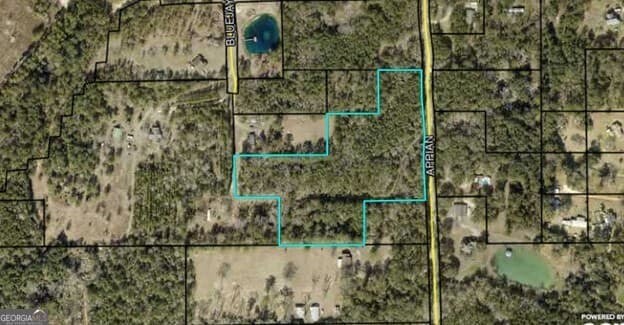 unimproved land for sale at 0 Appian Way, Baconton, GA 31716