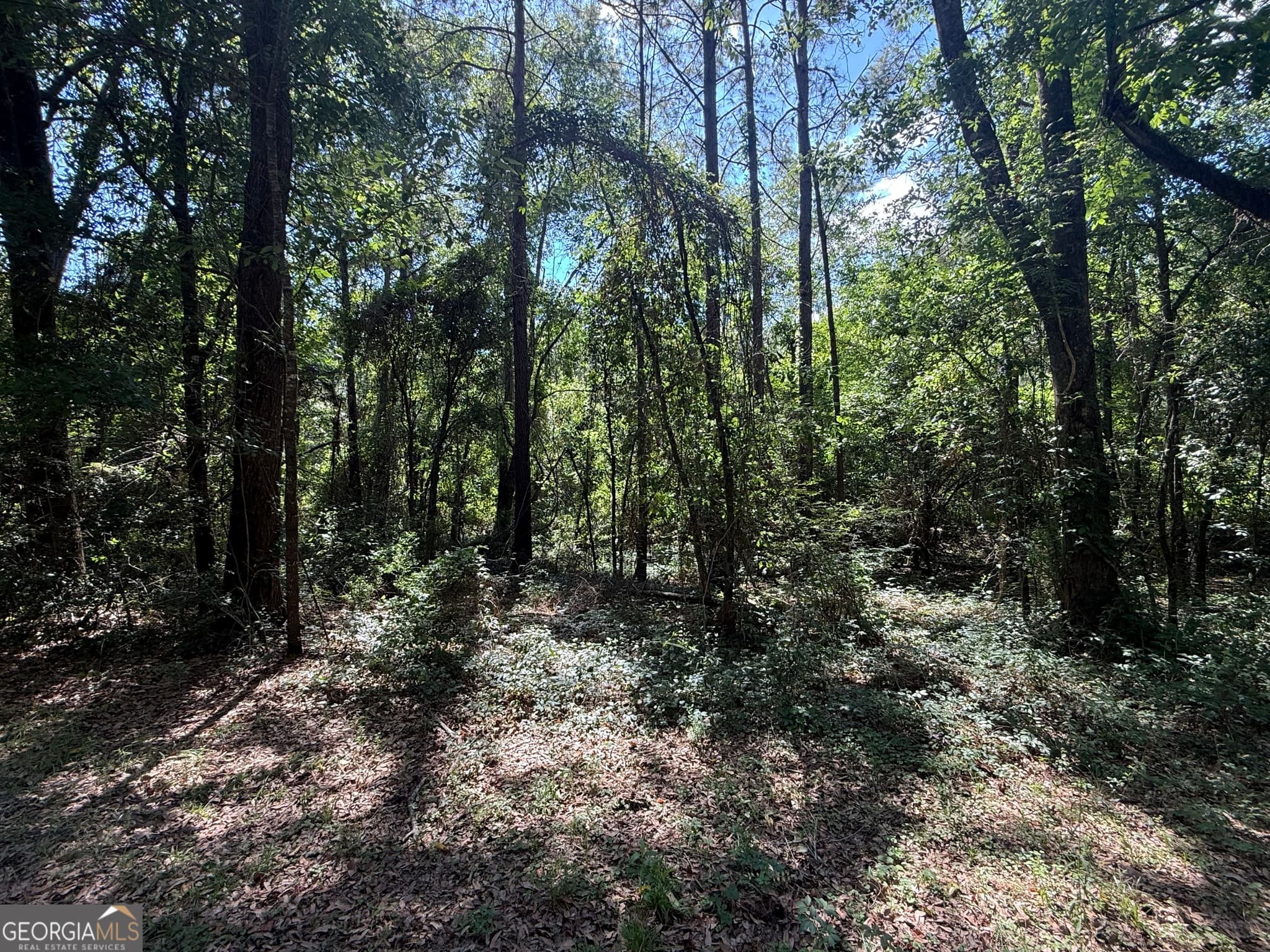 unimproved land for sale at 0 Appian Way, Baconton, GA 31716 — photo 5