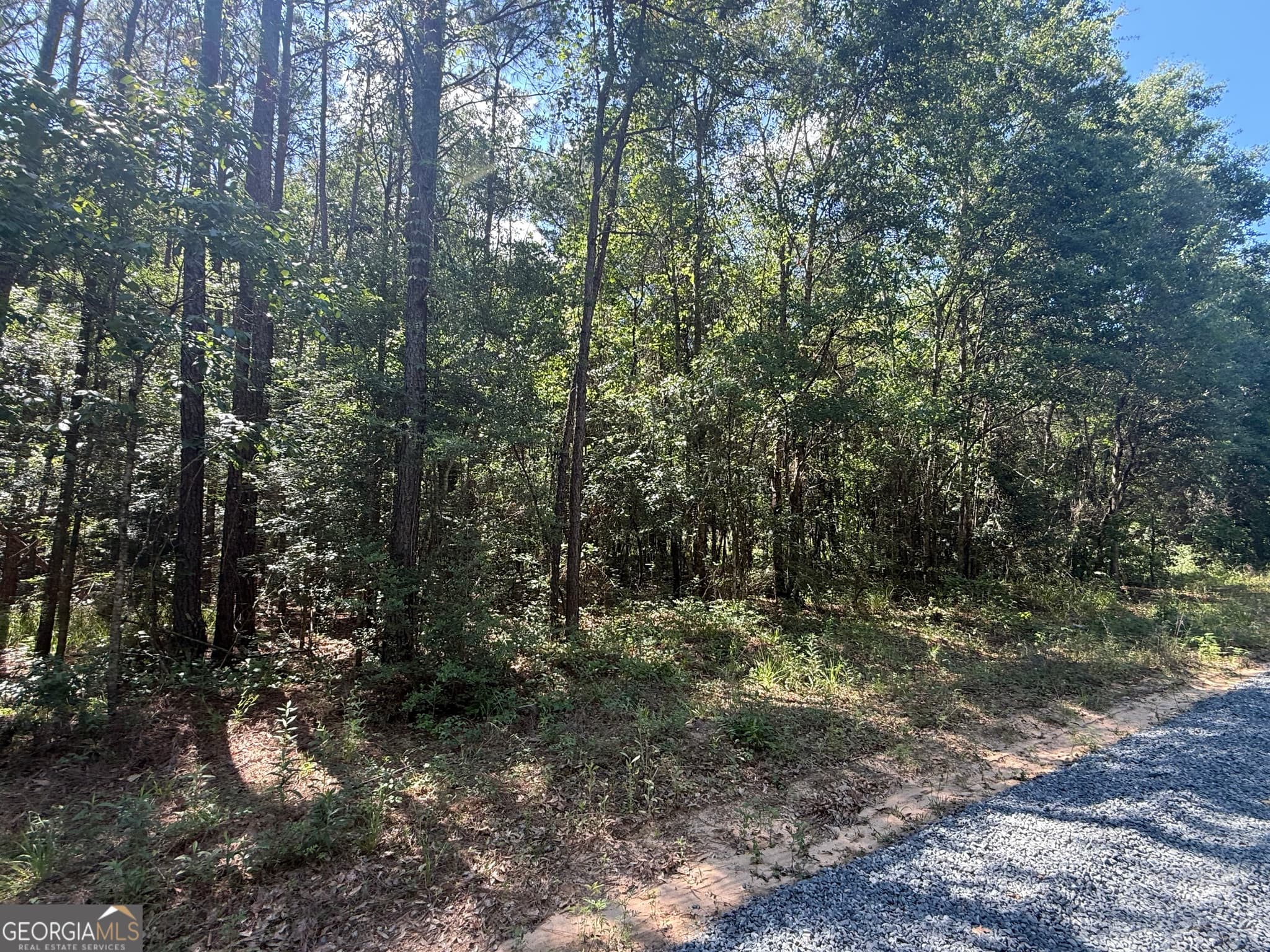unimproved land for sale at 0 Appian Way, Baconton, GA 31716 — photo 4