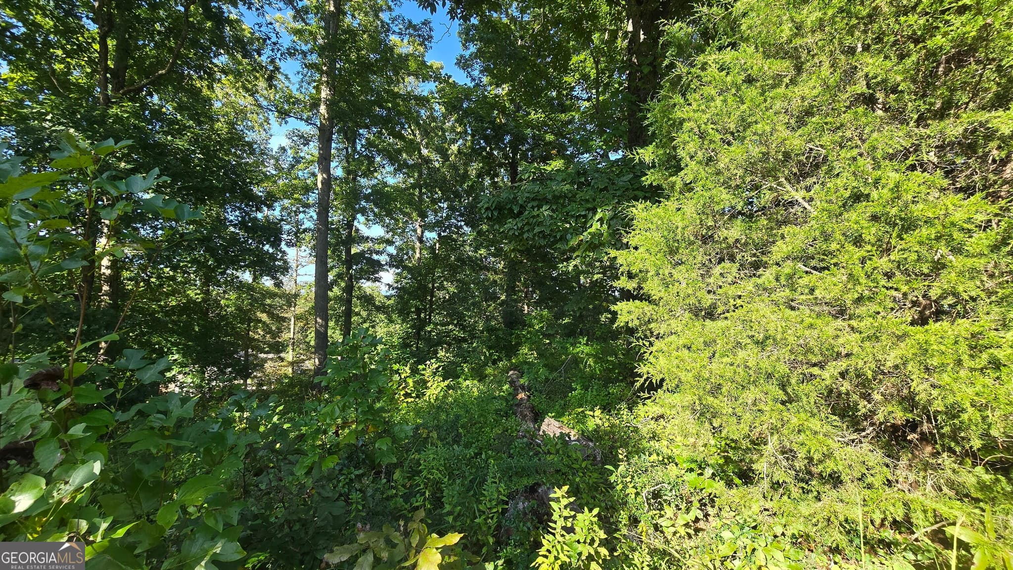 unimproved land for sale at LOTS 5 & 5A Chatuge Cove Greens, Hayesville, NC 28904 — photo 10