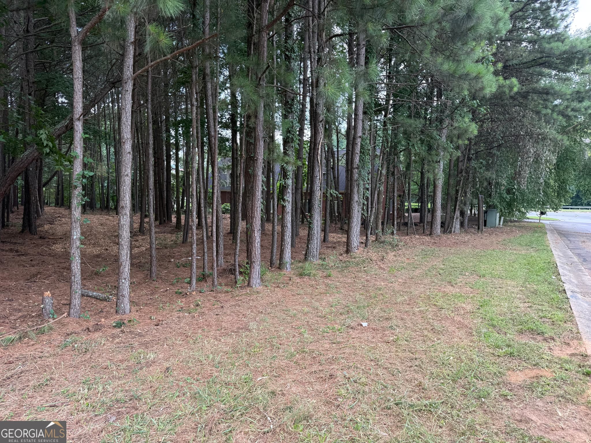 unimproved land for sale at 4210 Mundy Mill Place, Oakwood, GA 30566 — photo 1 of 1
