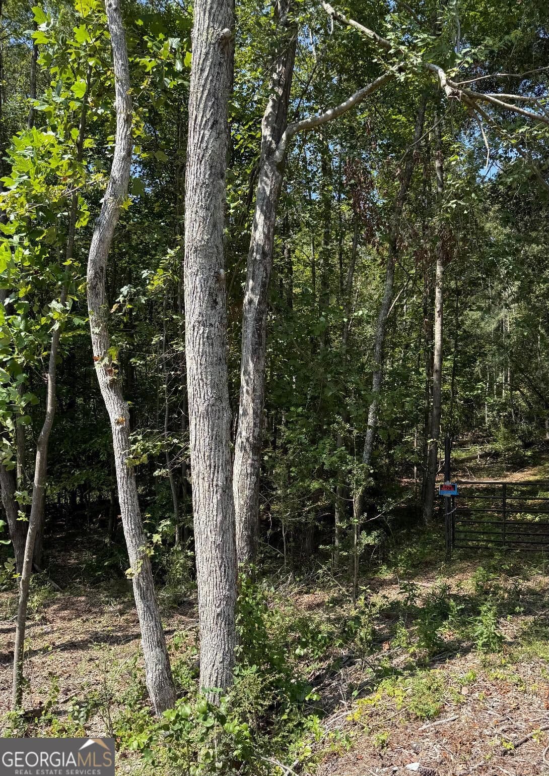 residential lot for sale at 0 Highway 92 & 166, Douglasville, GA 30135 — photo 2