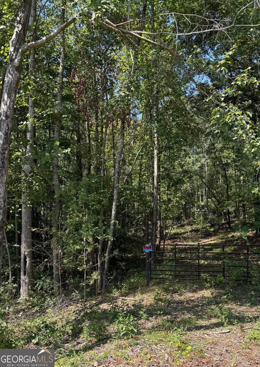 residential lot for sale at 0 Highway 92 & 166, Douglasville, GA 30135 — photo 1 of 3