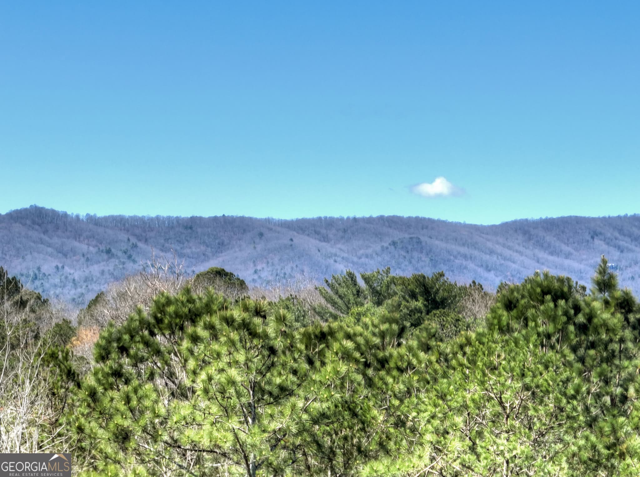 7 bedroom, 6.5 bathroom, 7,609 sq ft single family residence for sale at 229-B Crossroads Church Road, Ellijay, GA 30540 — photo 10