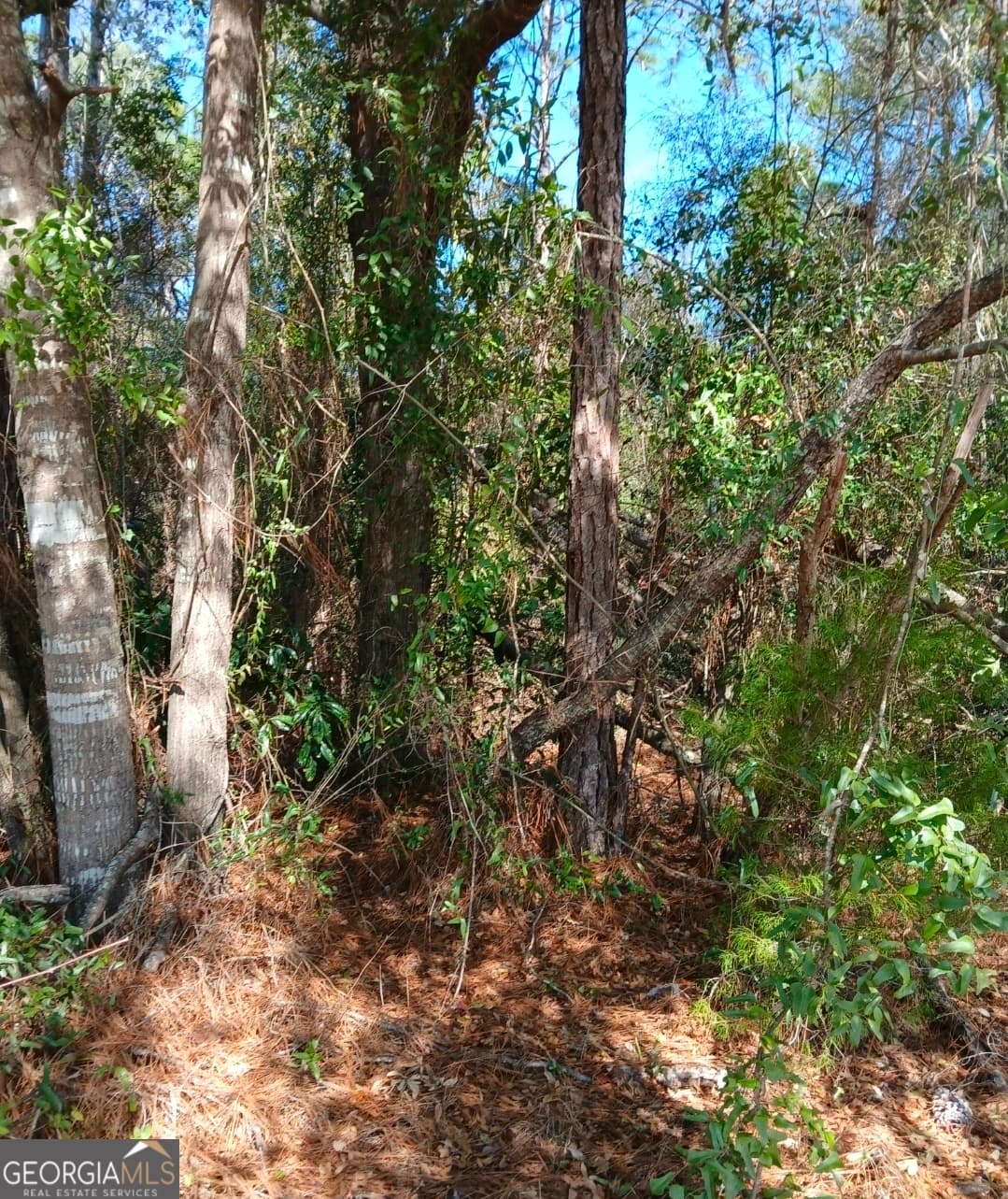 residential lot for sale at 0-LOT 3 Kelly Road LOT 3, Folkston, GA 31537 — photo 9