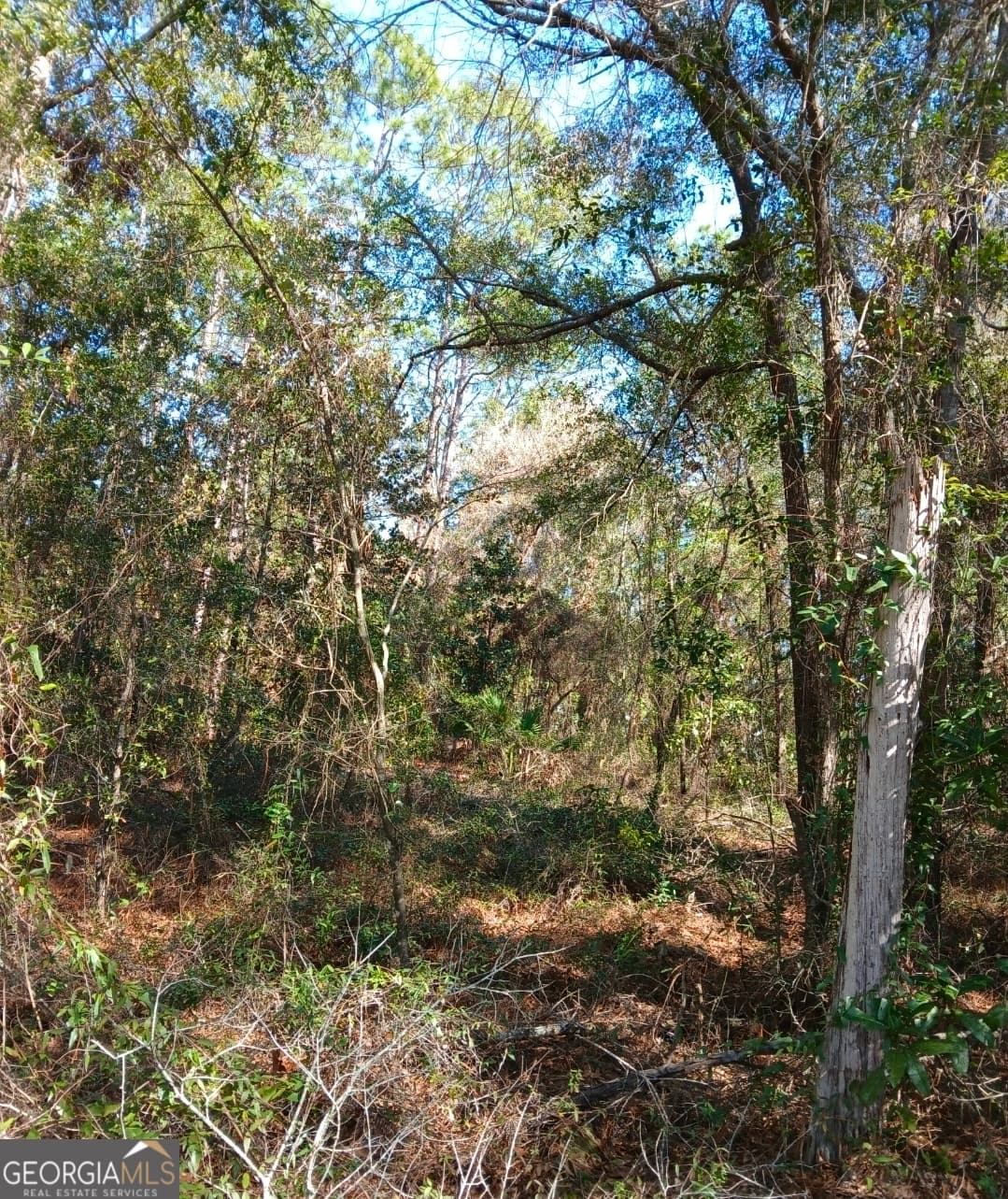 residential lot for sale at 0-LOT 3 Kelly Road LOT 3, Folkston, GA 31537 — photo 10