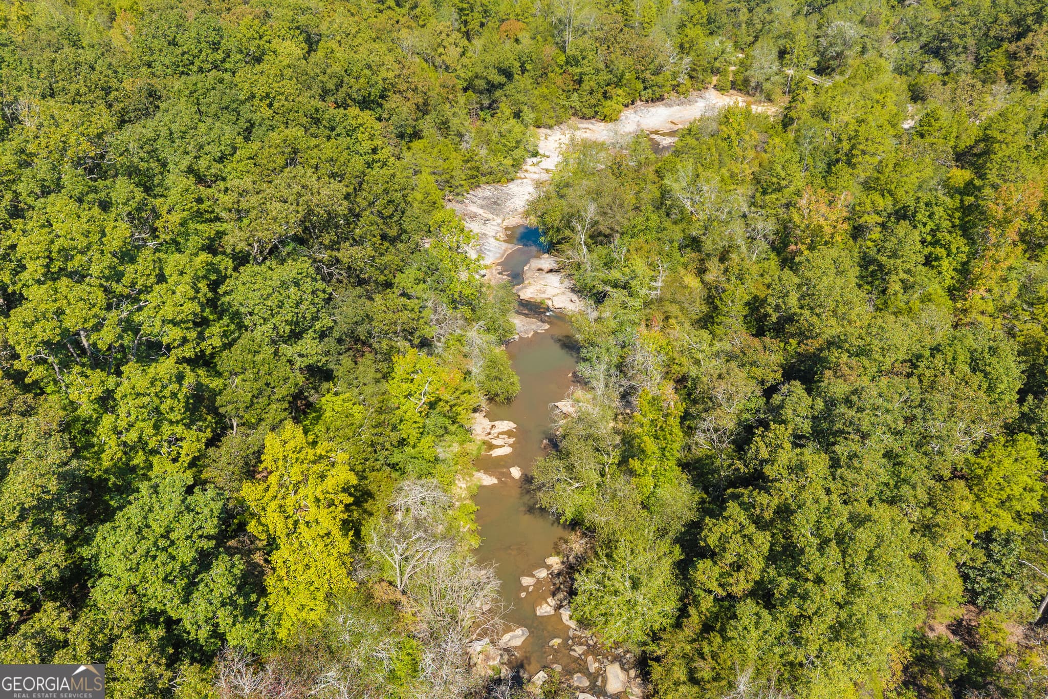 agriculture for sale at 0 King Hall & Hwy 172, Bowman, GA 30624 — photo 1 of 41