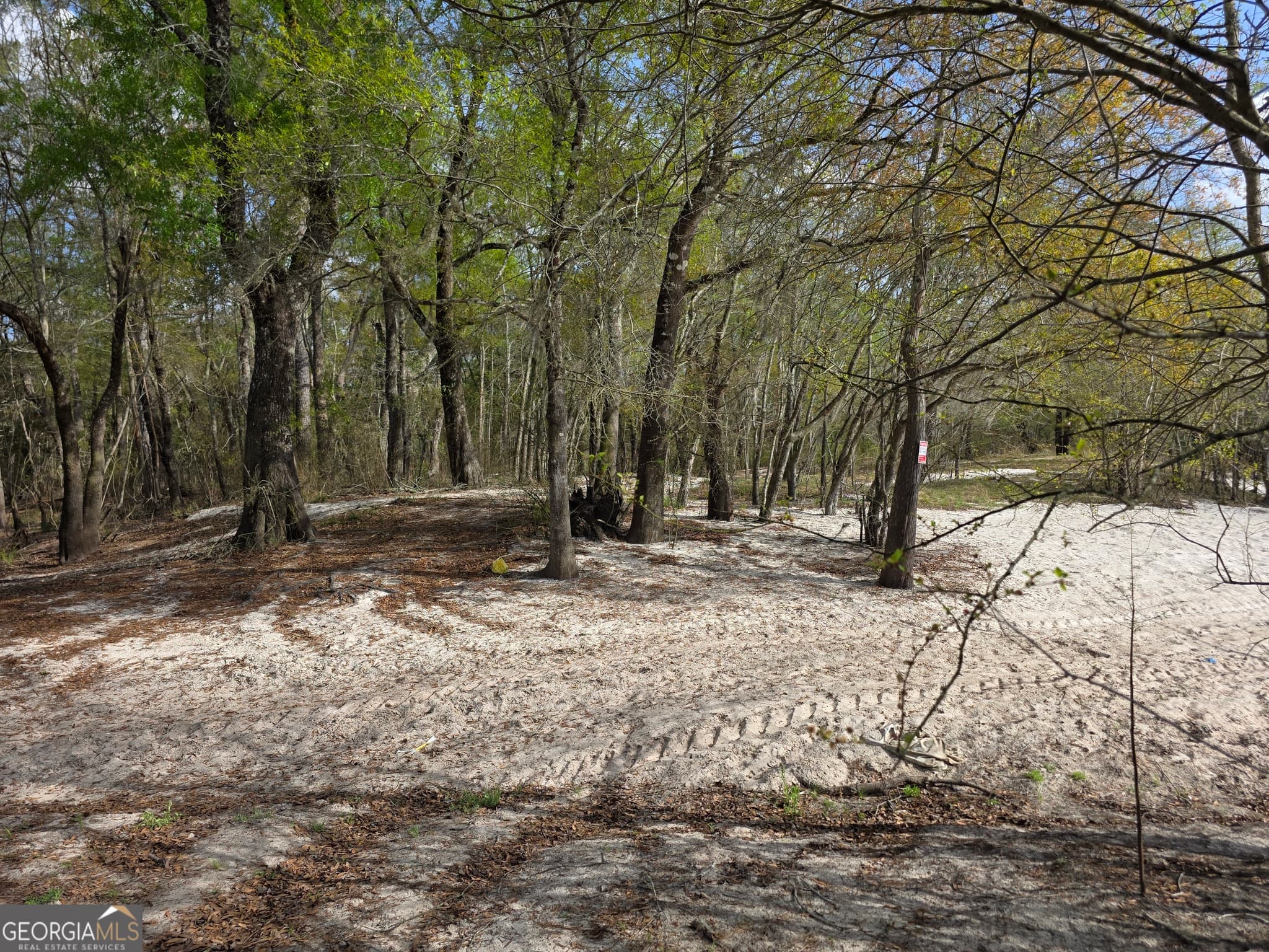 unimproved land for sale at 0 Highway 82, Waynesville, GA 31566 — photo 6