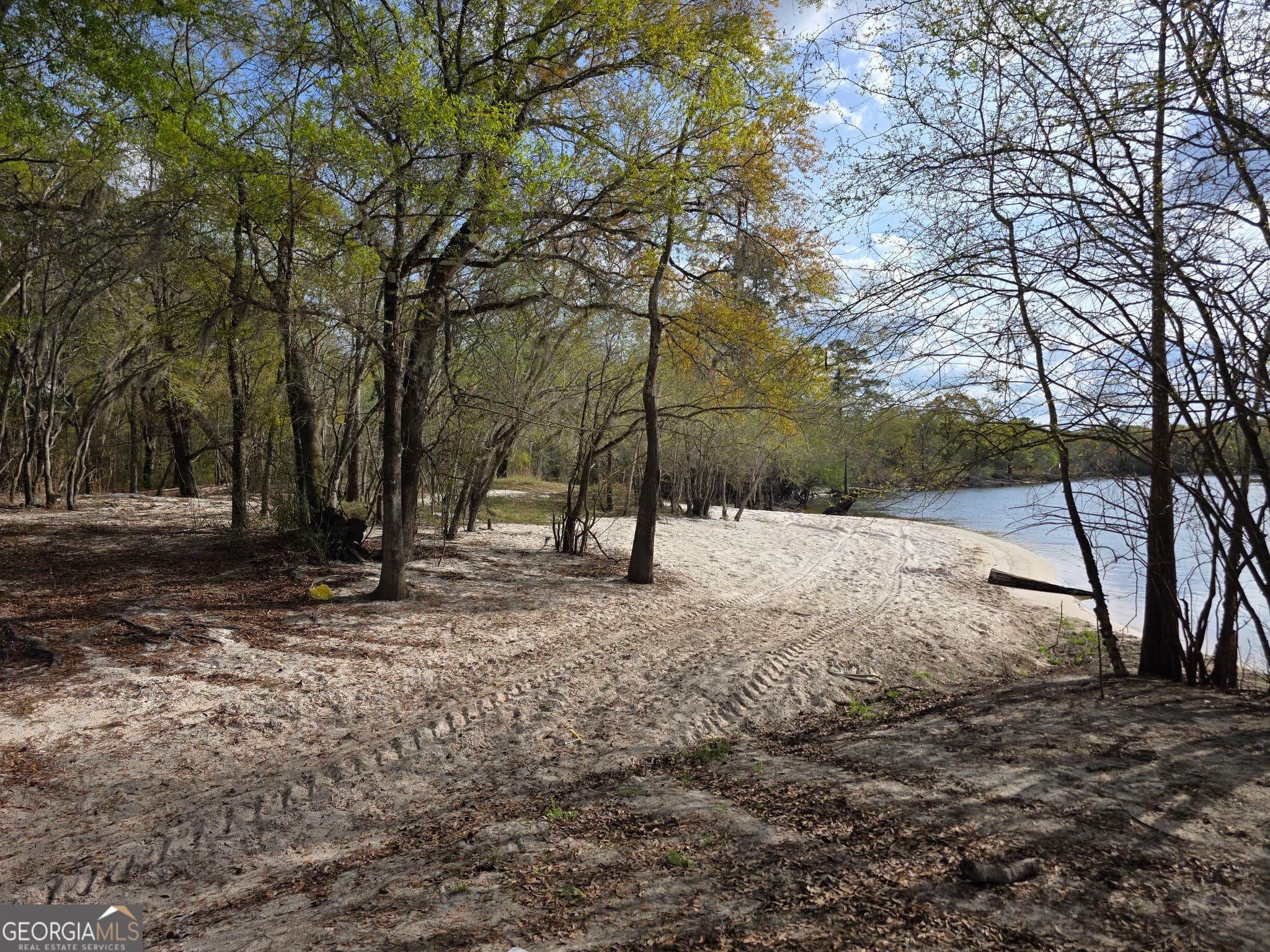 unimproved land for sale at 0 Highway 82, Waynesville, GA 31566 — photo 5