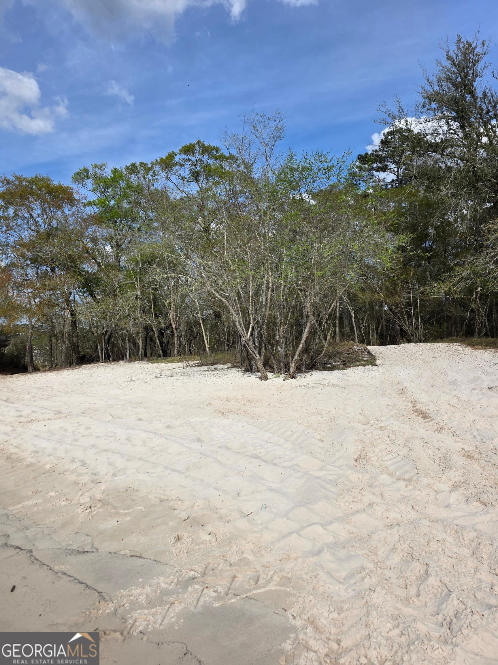 unimproved land for sale at 0 Highway 82, Waynesville, GA 31566 — photo 10