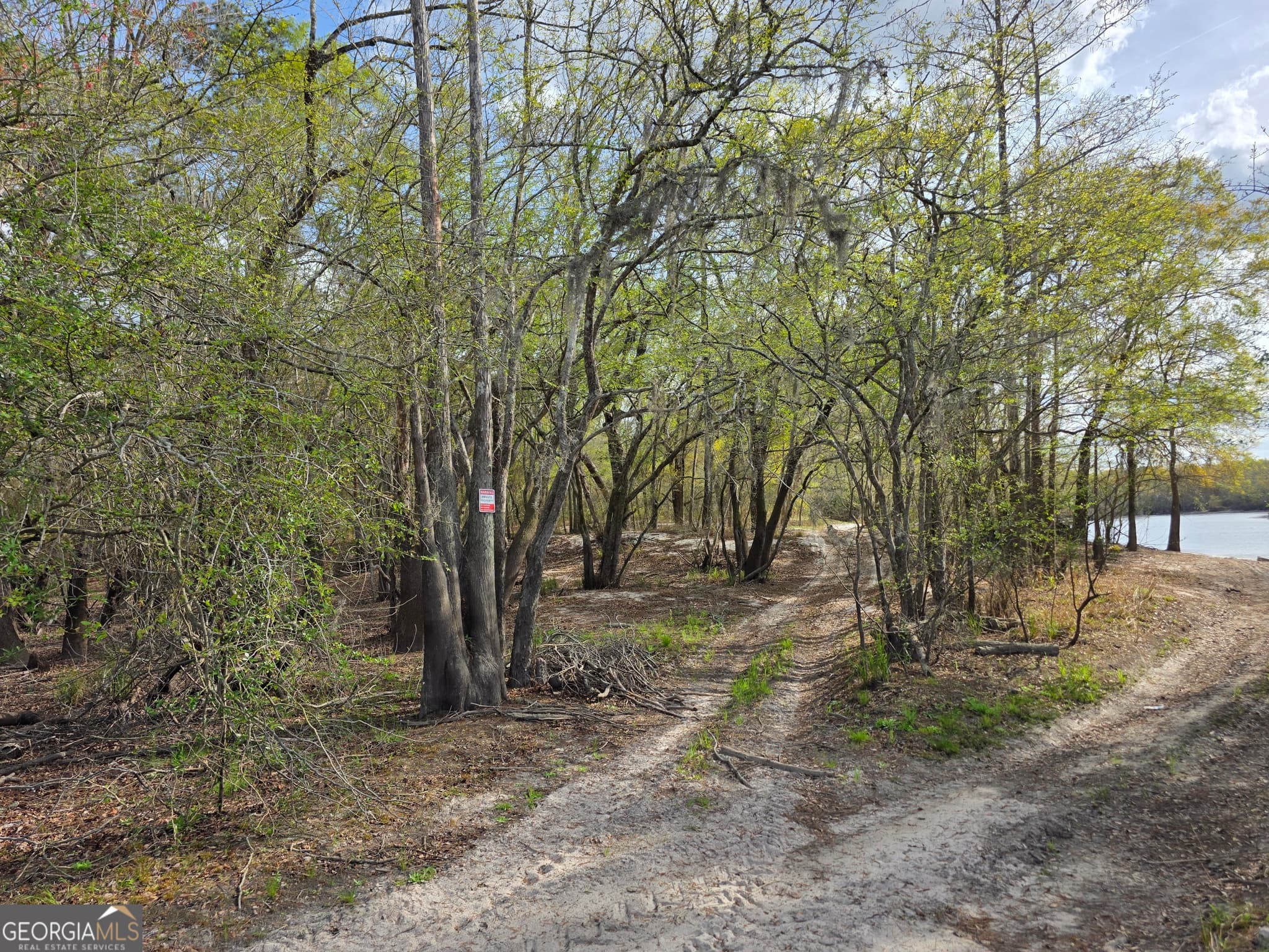 unimproved land for sale at 0 Highway 82, Waynesville, GA 31566 — photo 4