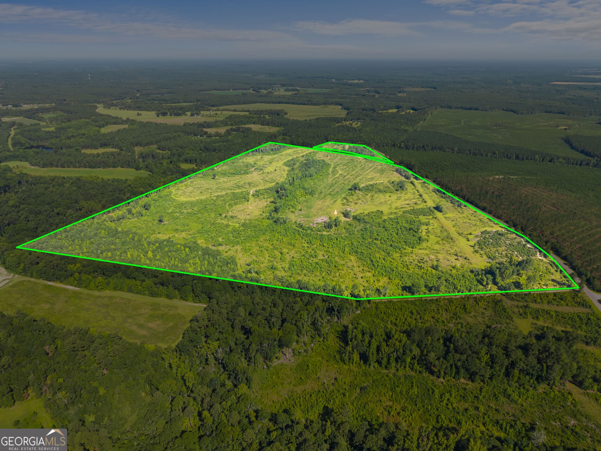 agriculture for sale at 3605 Perkins Hiltonia Road, Millen, GA 30442 — photo 2