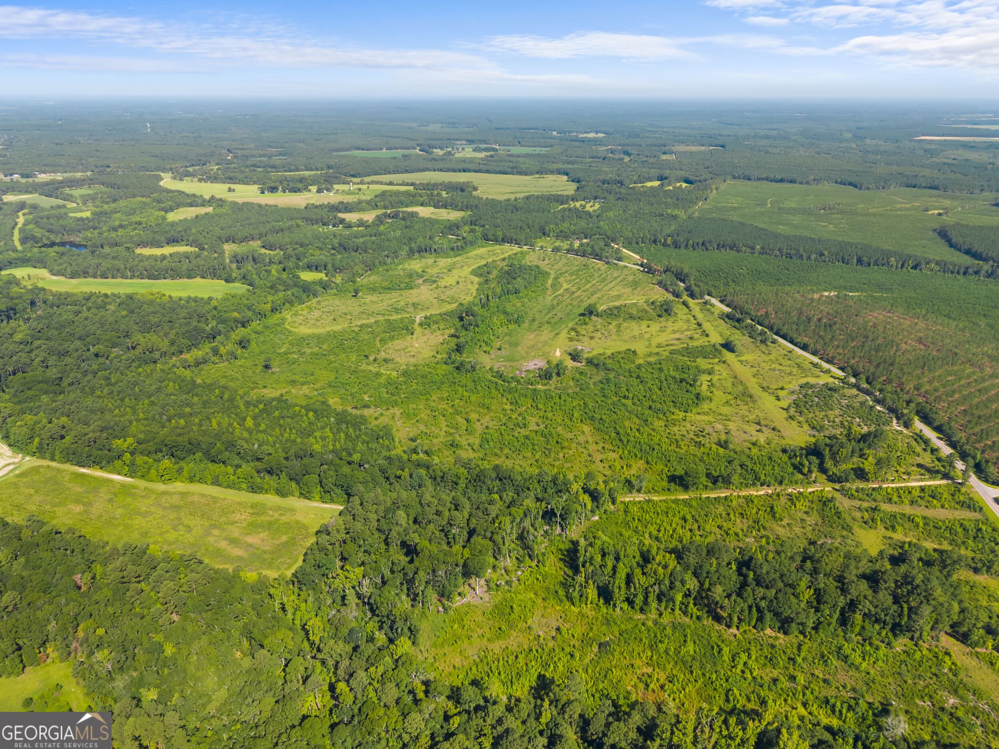 agriculture for sale at 3605 Perkins Hiltonia Road, Millen, GA 30442 — photo 6