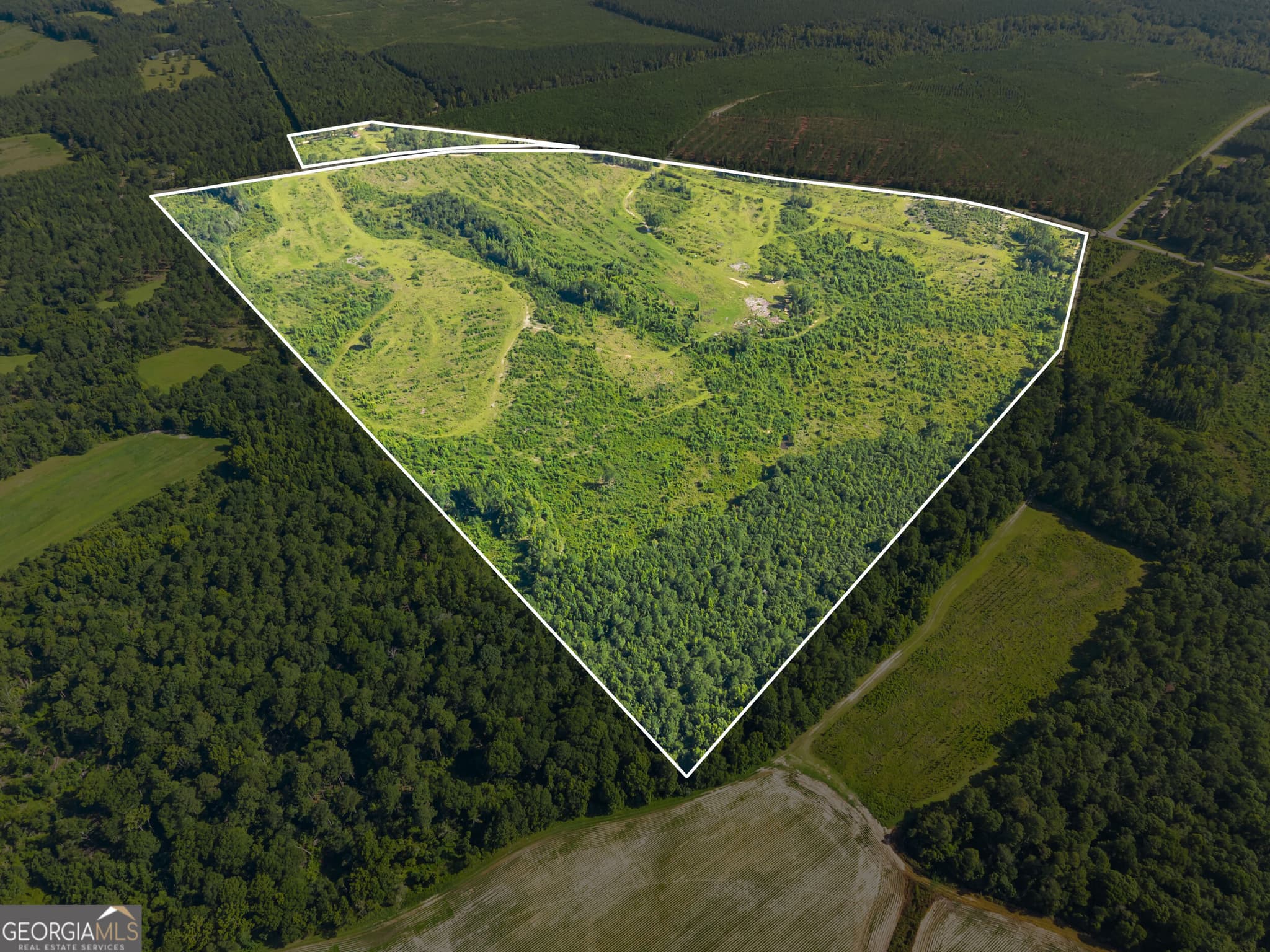 agriculture for sale at 3605 Perkins Hiltonia Road, Millen, GA 30442 — photo 3