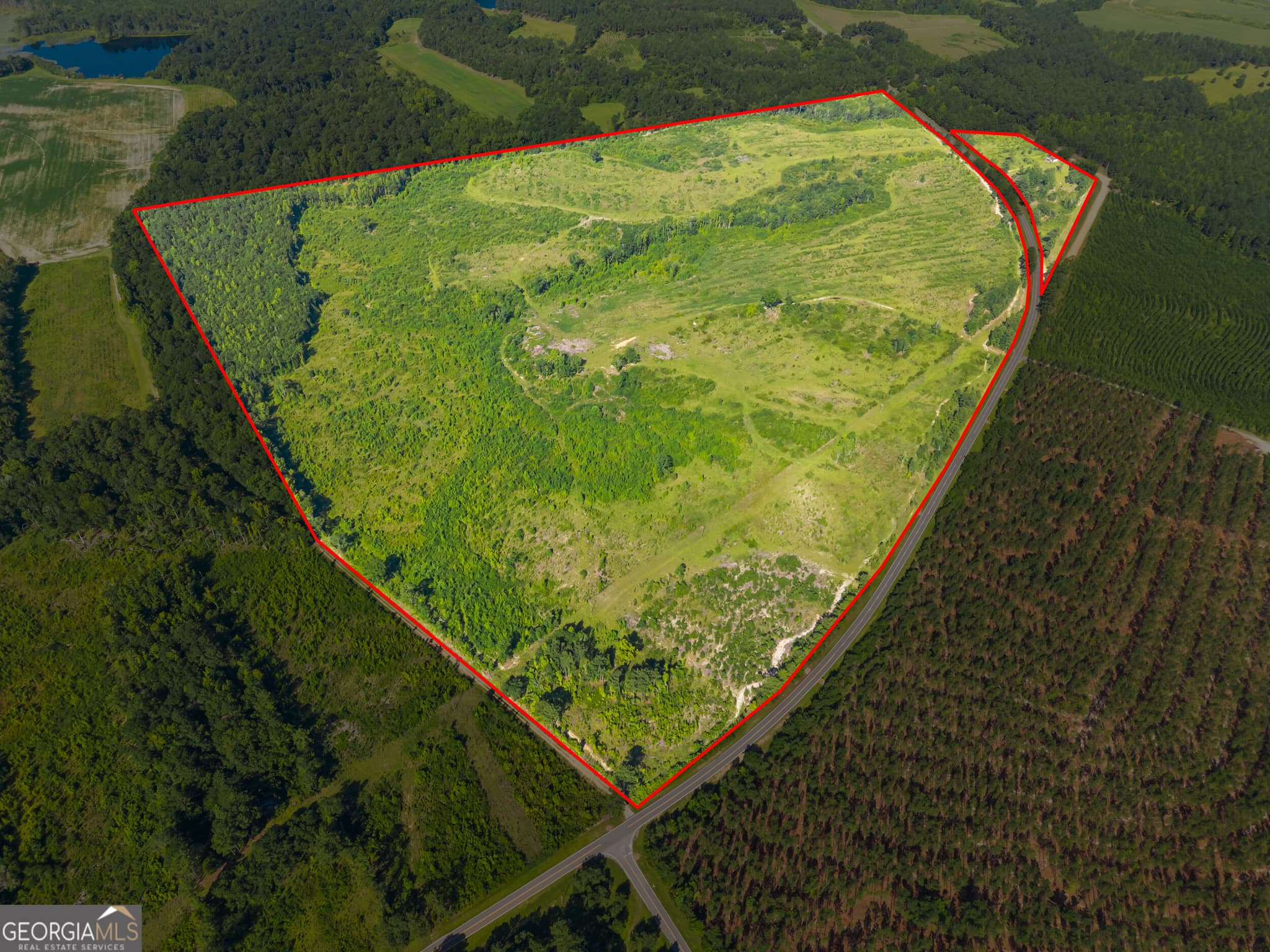 agriculture for sale at 3605 Perkins Hiltonia Road, Millen, GA 30442