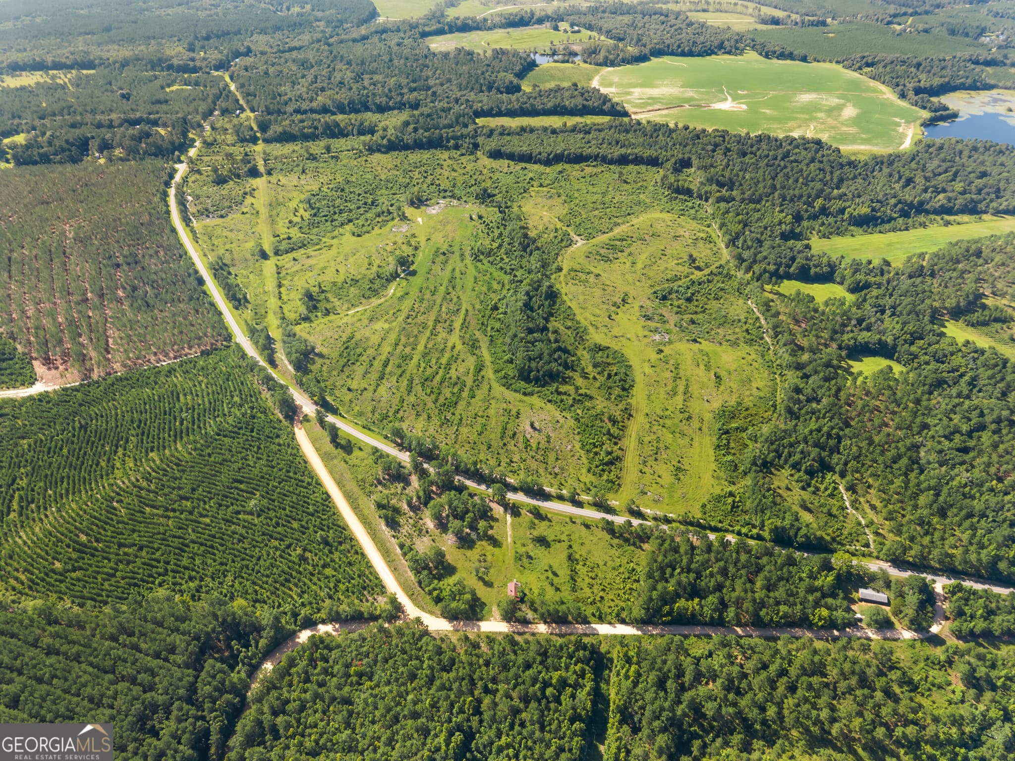 agriculture for sale at 3605 Perkins Hiltonia Road, Millen, GA 30442 — photo 5