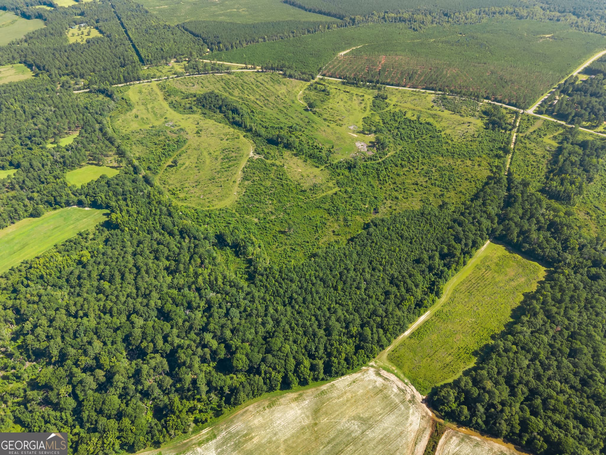 agriculture for sale at 3605 Perkins Hiltonia Road, Millen, GA 30442 — photo 9