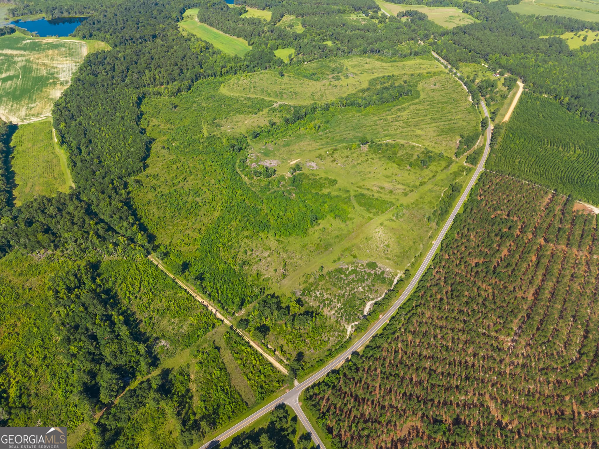 agriculture for sale at 3605 Perkins Hiltonia Road, Millen, GA 30442 — photo 10