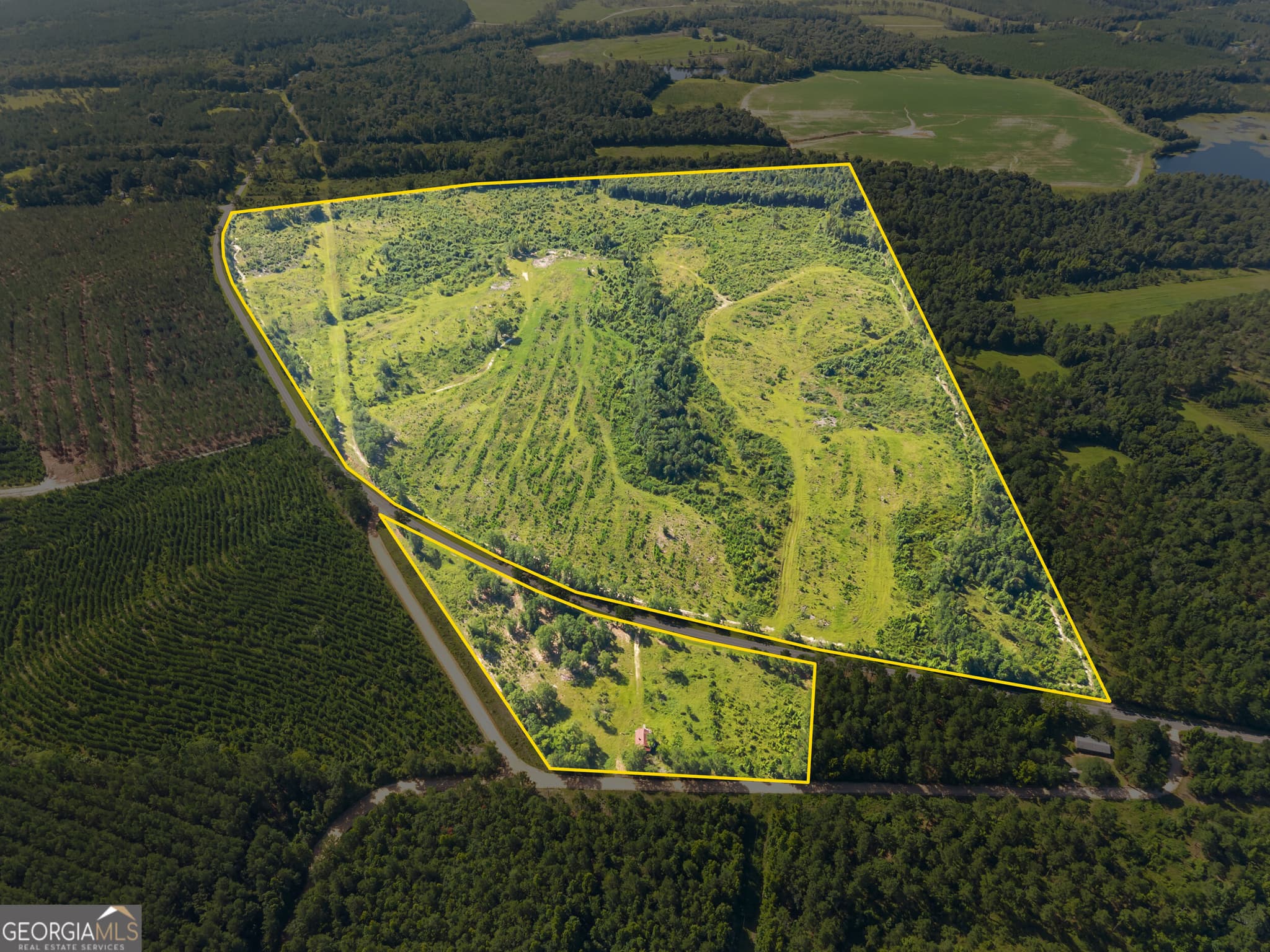 agriculture for sale at 3605 Perkins Hiltonia Road, Millen, GA 30442 — photo 4