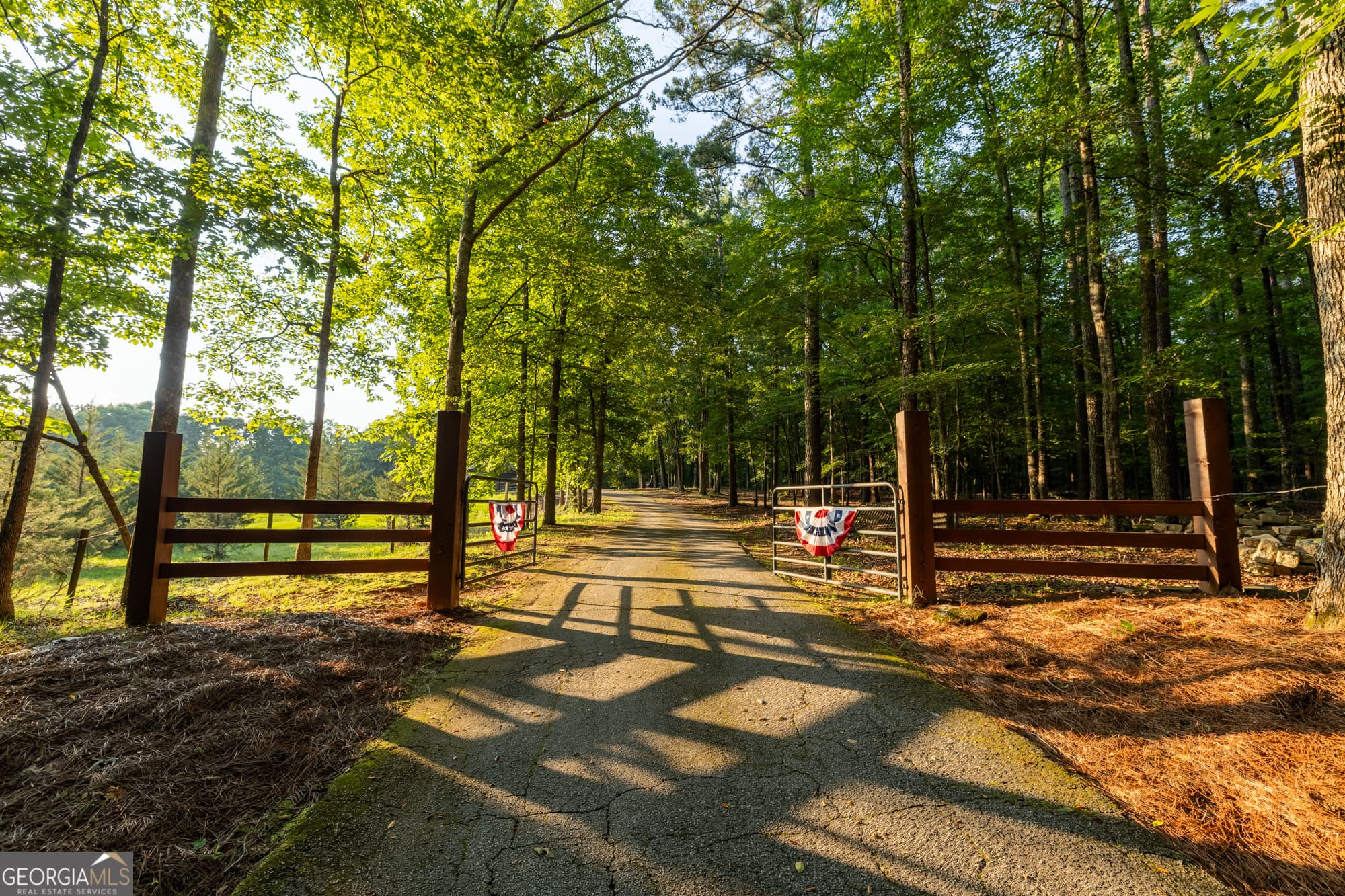 agriculture for sale at 024 Brittany Way, Fayetteville, GA 30214 — photo 6