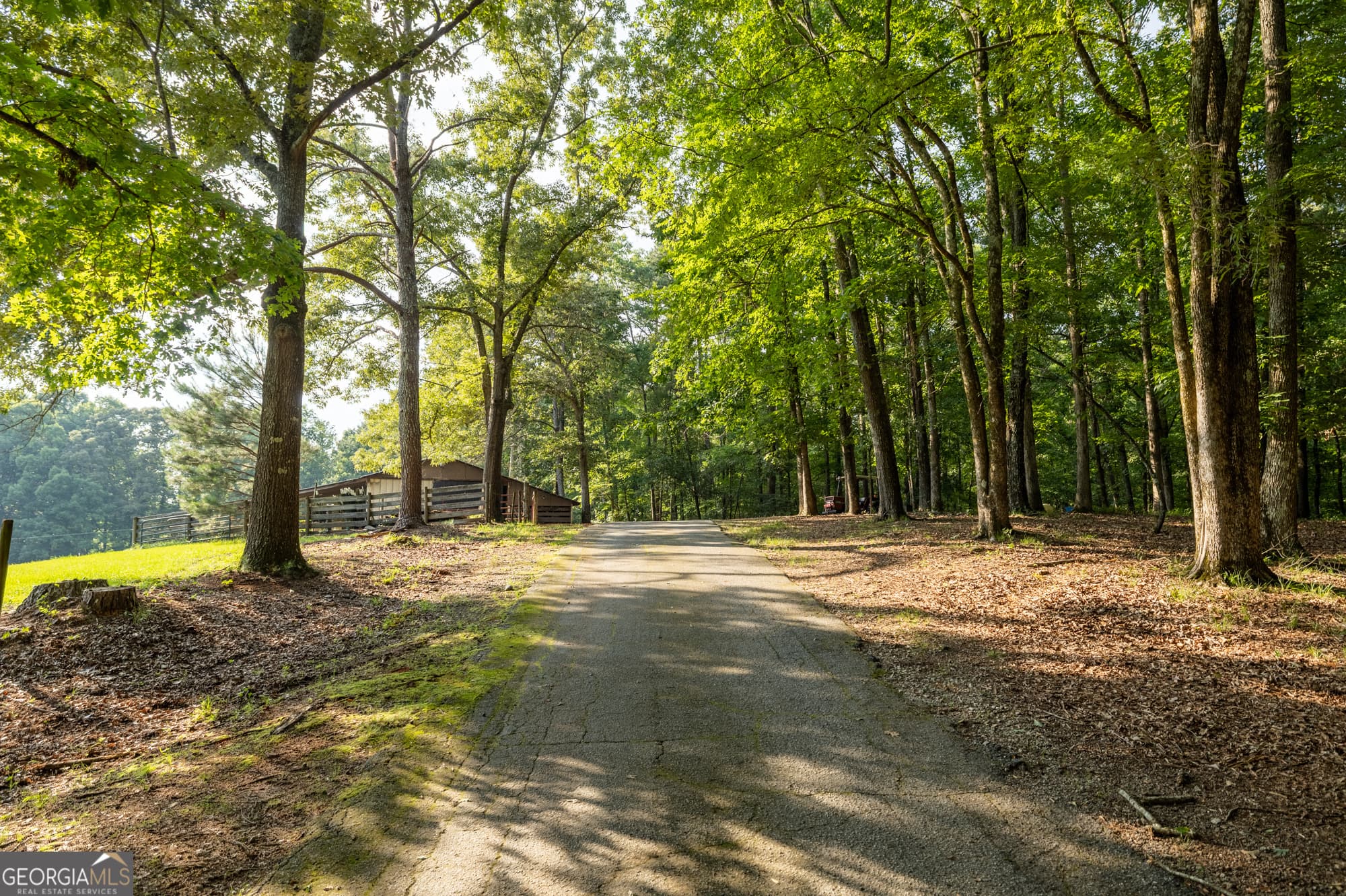agriculture for sale at 024 Brittany Way, Fayetteville, GA 30214 — photo 7