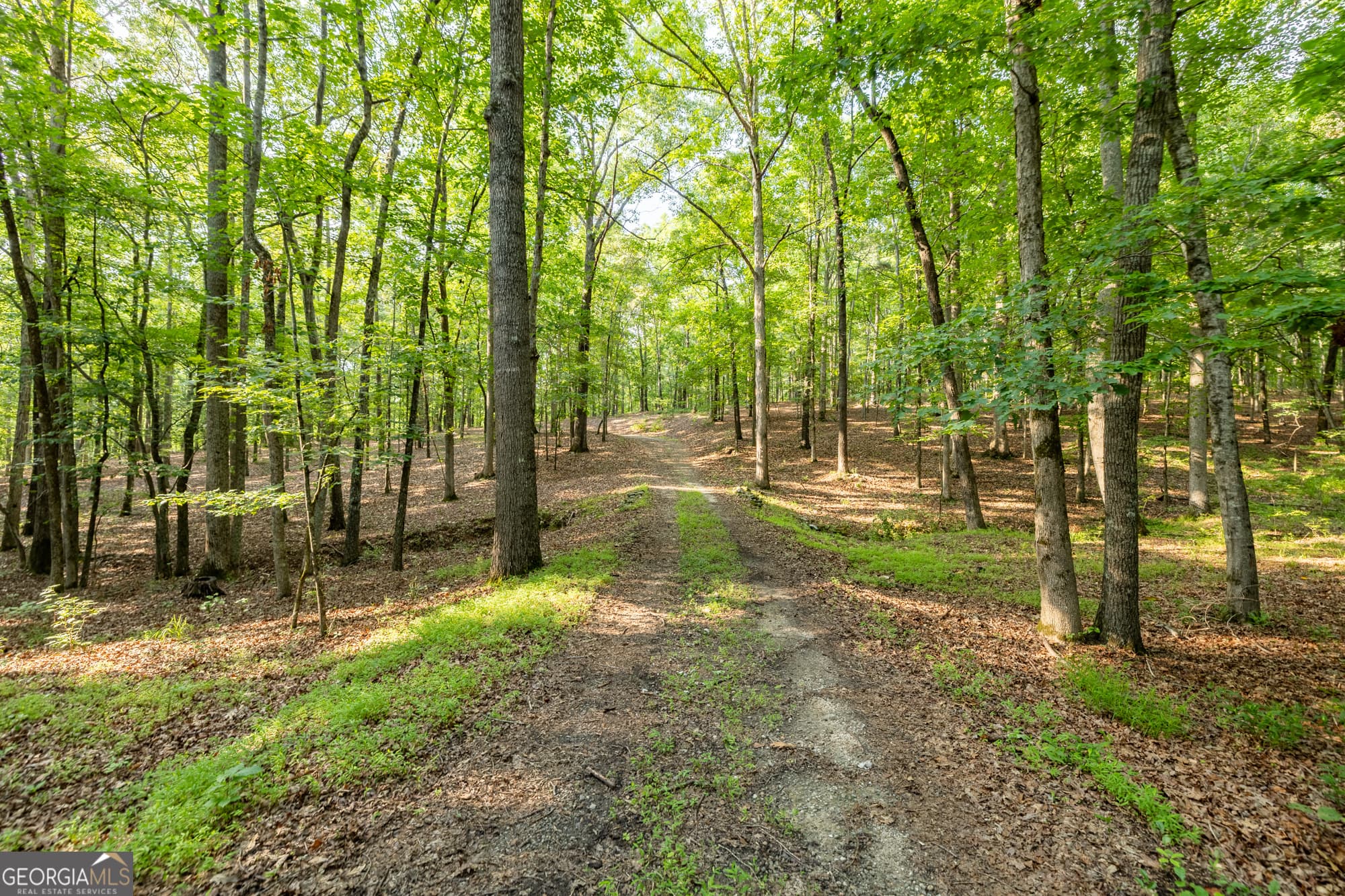 agriculture for sale at 024 Brittany Way, Fayetteville, GA 30214 — photo 9
