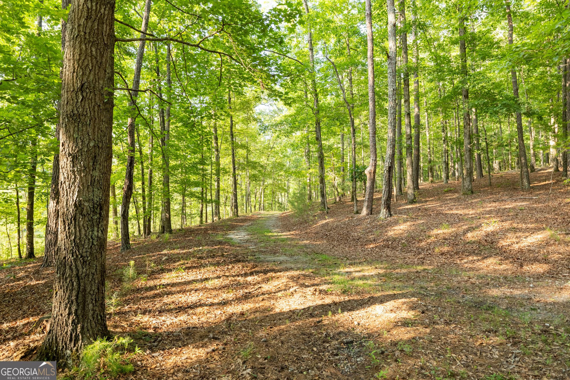 agriculture for sale at 024 Brittany Way, Fayetteville, GA 30214 — photo 8