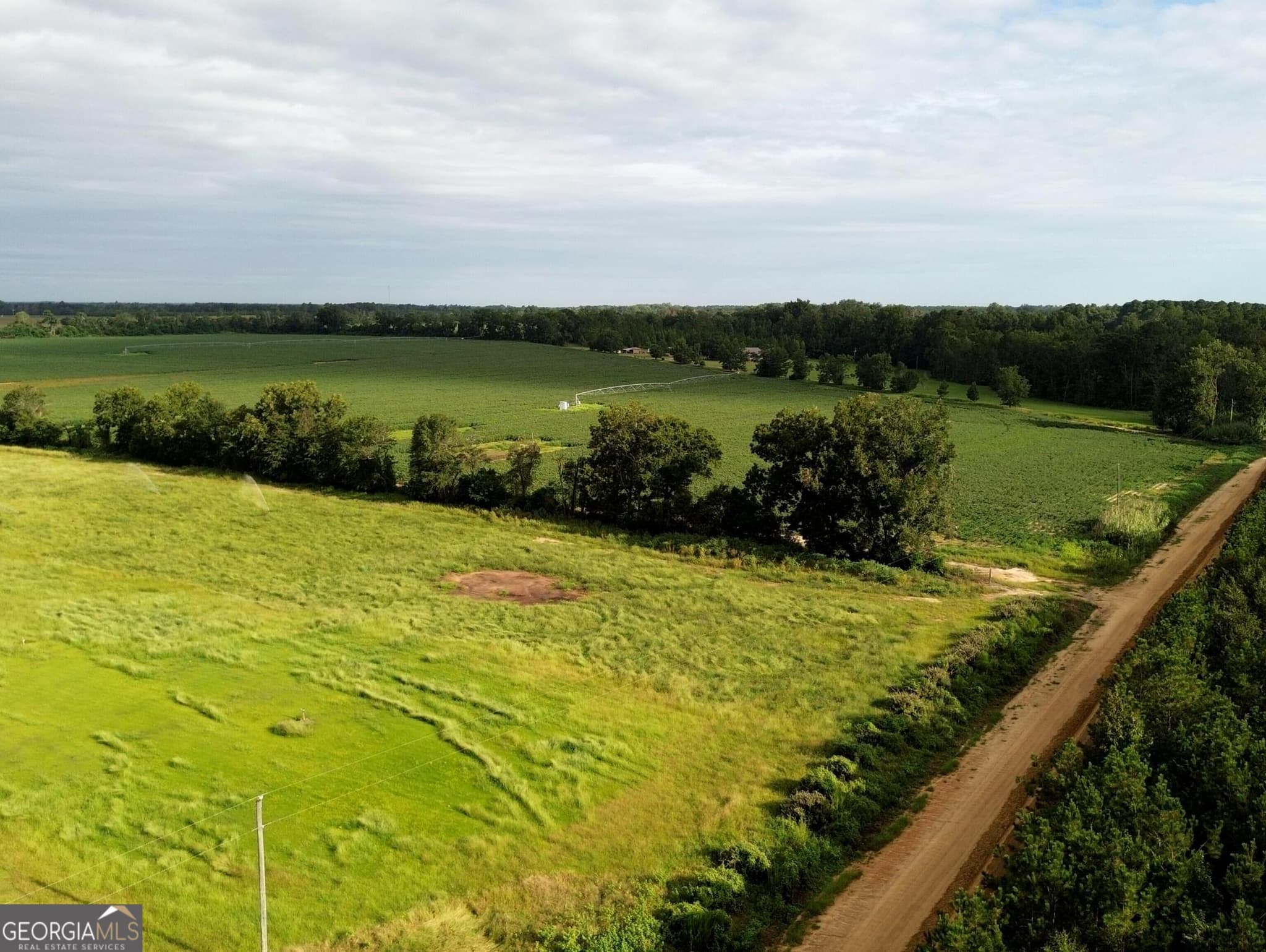agriculture for sale at 02 Cameron Road, Sylvania, GA 30467 — photo 7