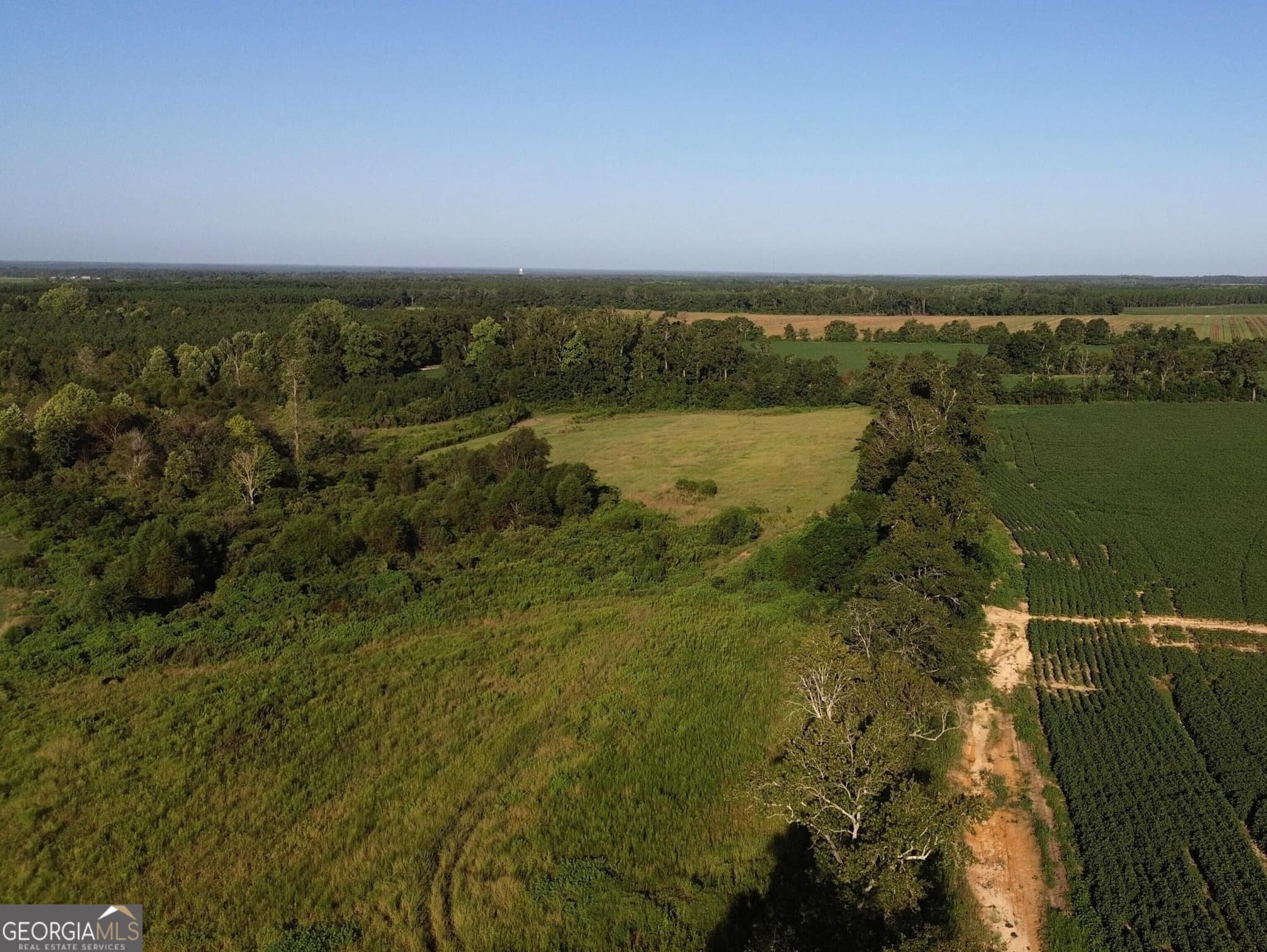 agriculture for sale at 02 Cameron Road, Sylvania, GA 30467 — photo 5