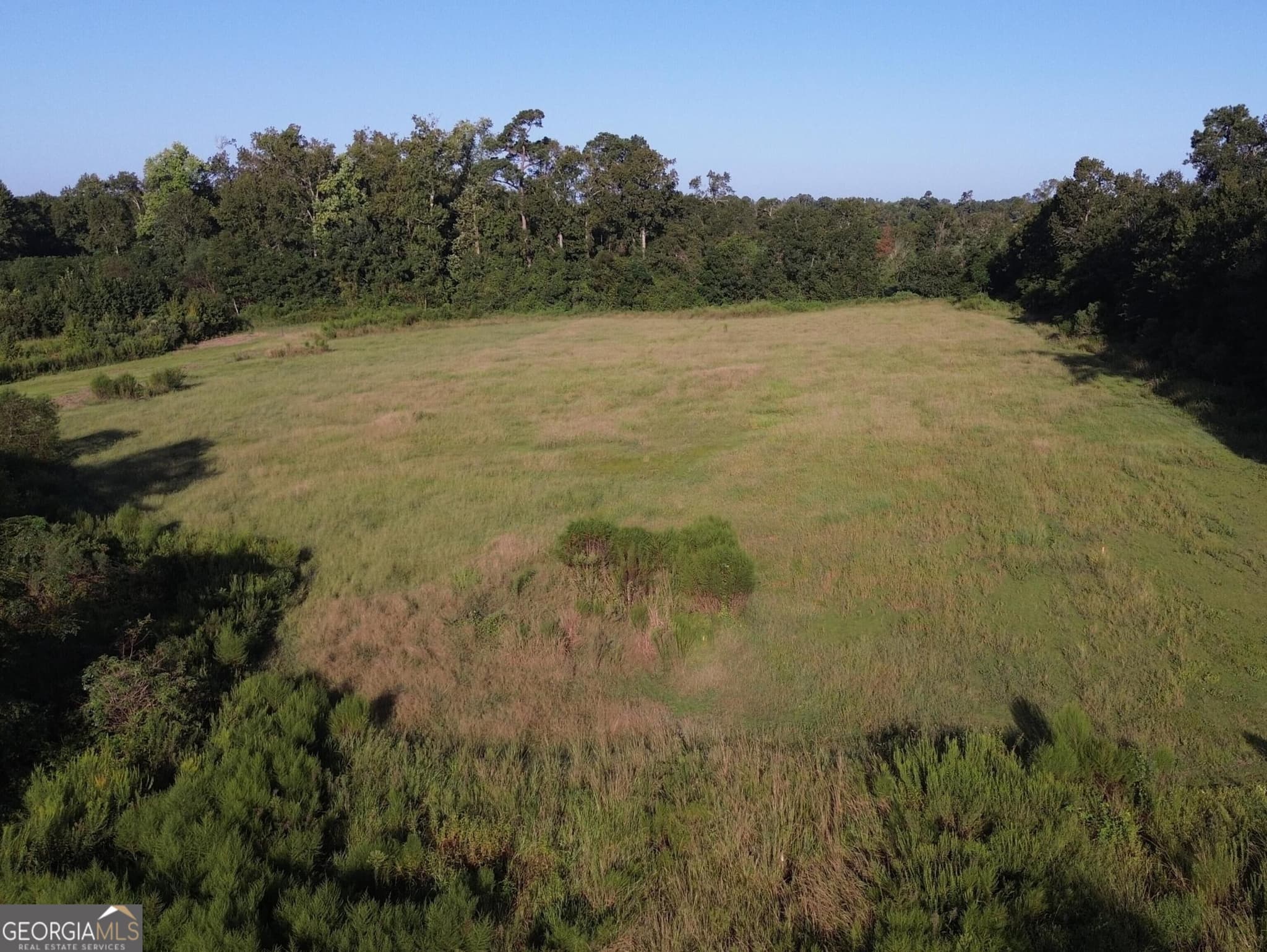 agriculture for sale at 02 Cameron Road, Sylvania, GA 30467 — photo 4