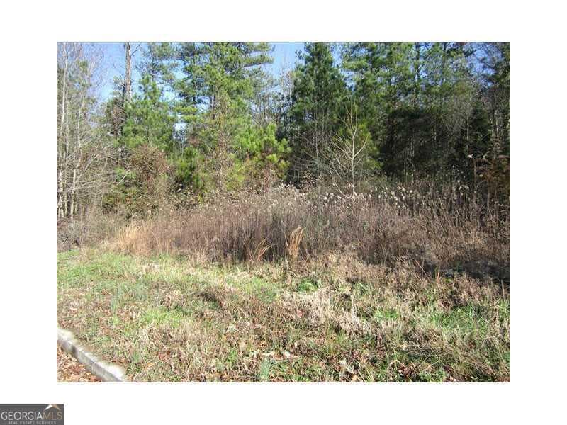 residential lot for sale at 352 Greystone Lane, Douglasville, GA 30134 — photo 6
