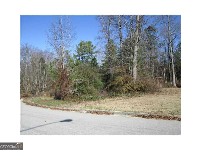 residential lot for sale at 352 Greystone Lane, Douglasville, GA 30134 — photo 4