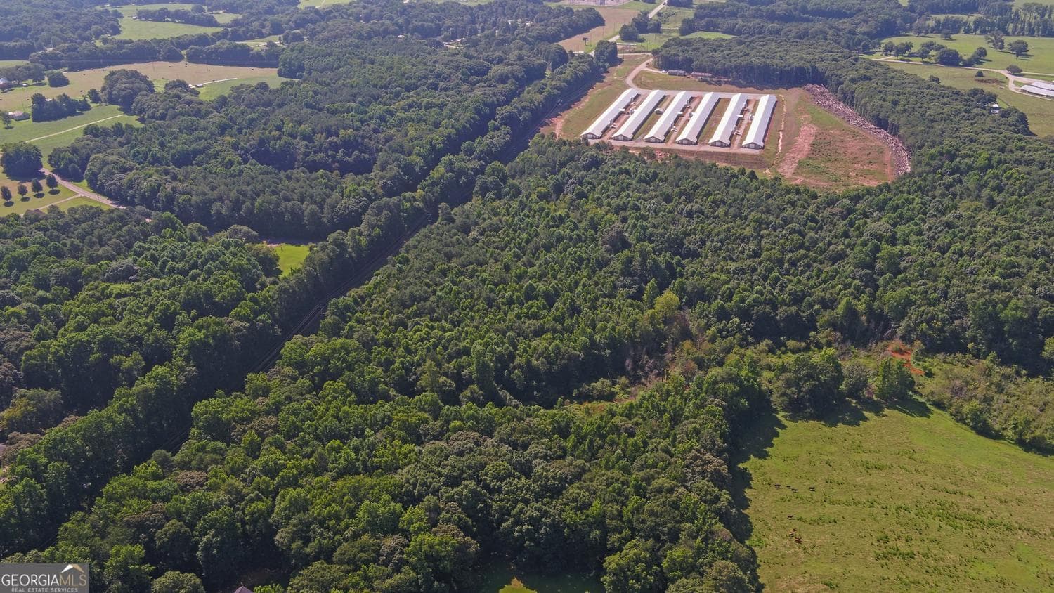 agriculture for sale at 0 Hwy 17, Royston, GA 30662 — photo 6