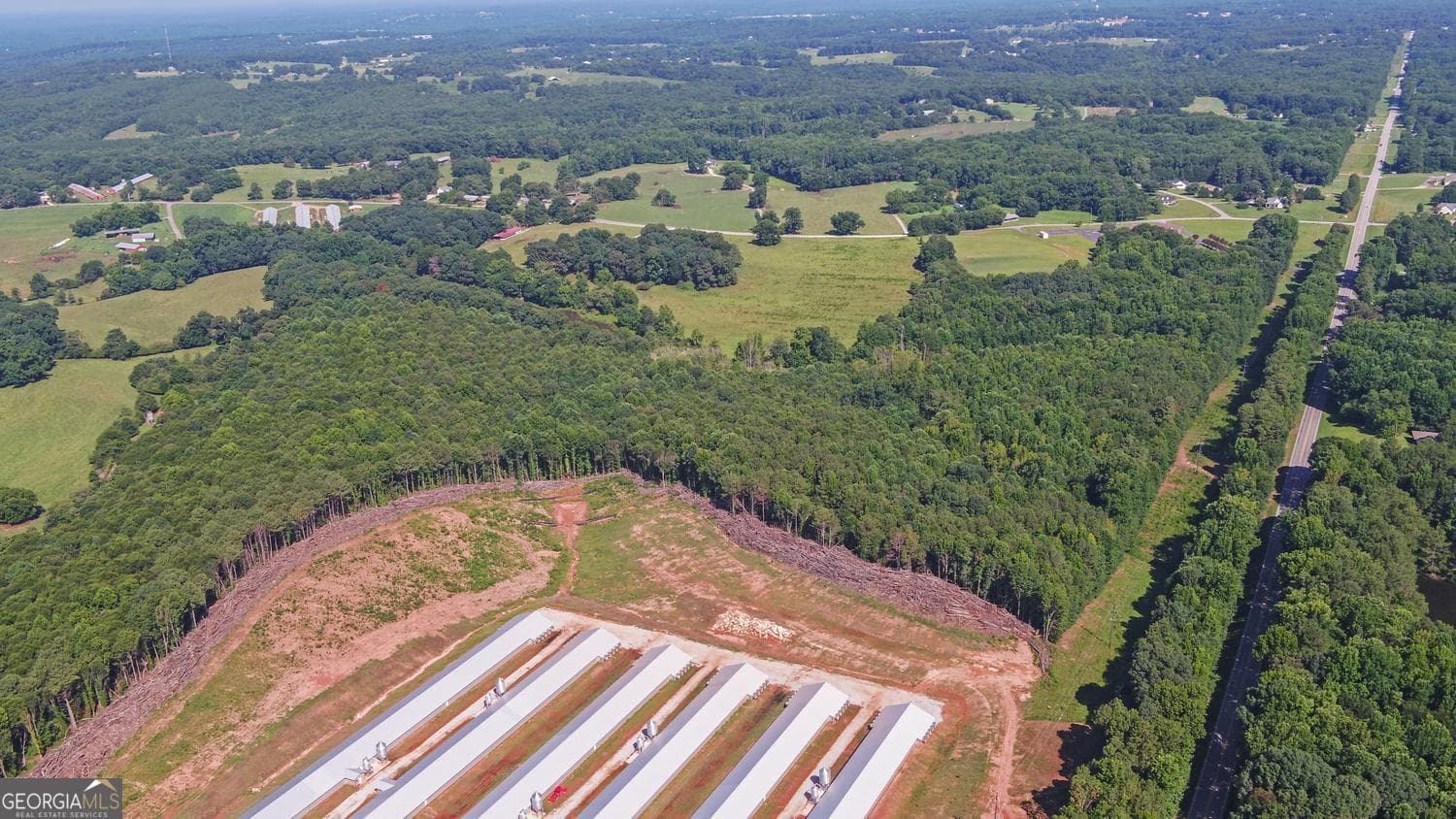agriculture for sale at 0 Hwy 17, Royston, GA 30662 — photo 3