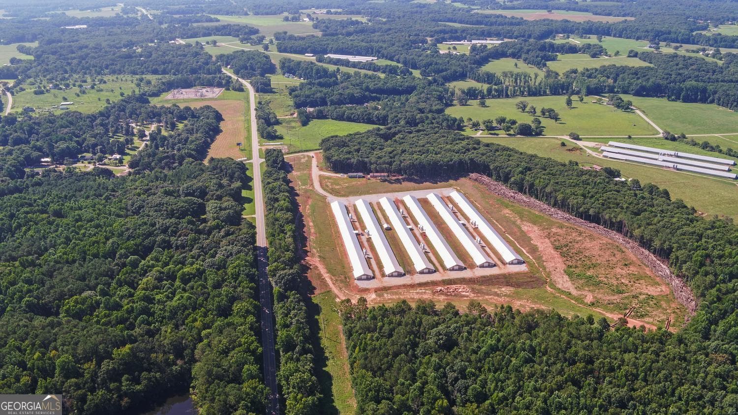 agriculture for sale at 0 Hwy 17, Royston, GA 30662 — photo 9