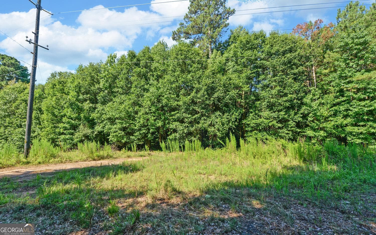 agriculture for sale at 0 Hwy 17, Royston, GA 30662 — photo 10