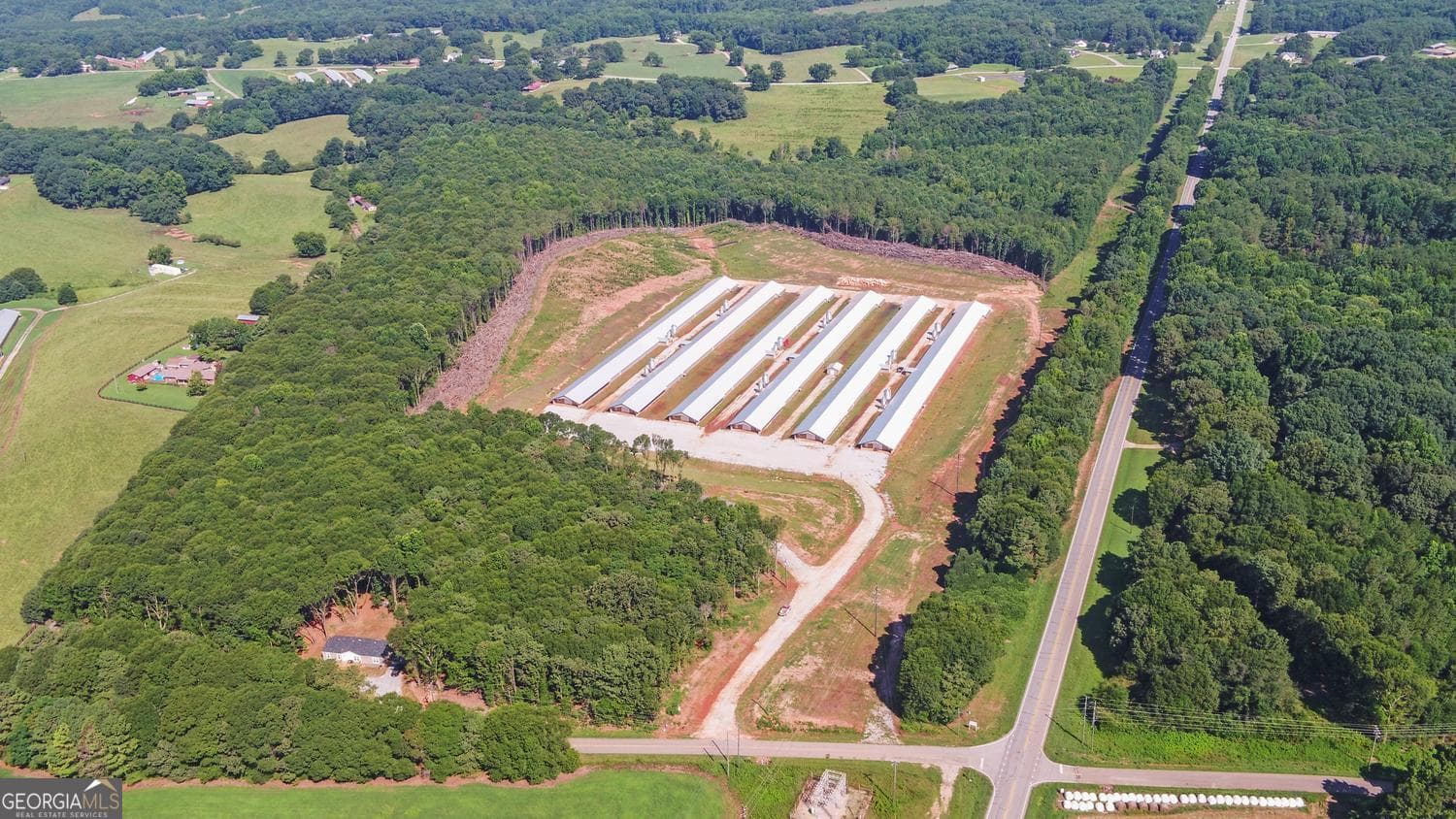 agriculture for sale at 0 Hwy 17, Royston, GA 30662 — photo 4
