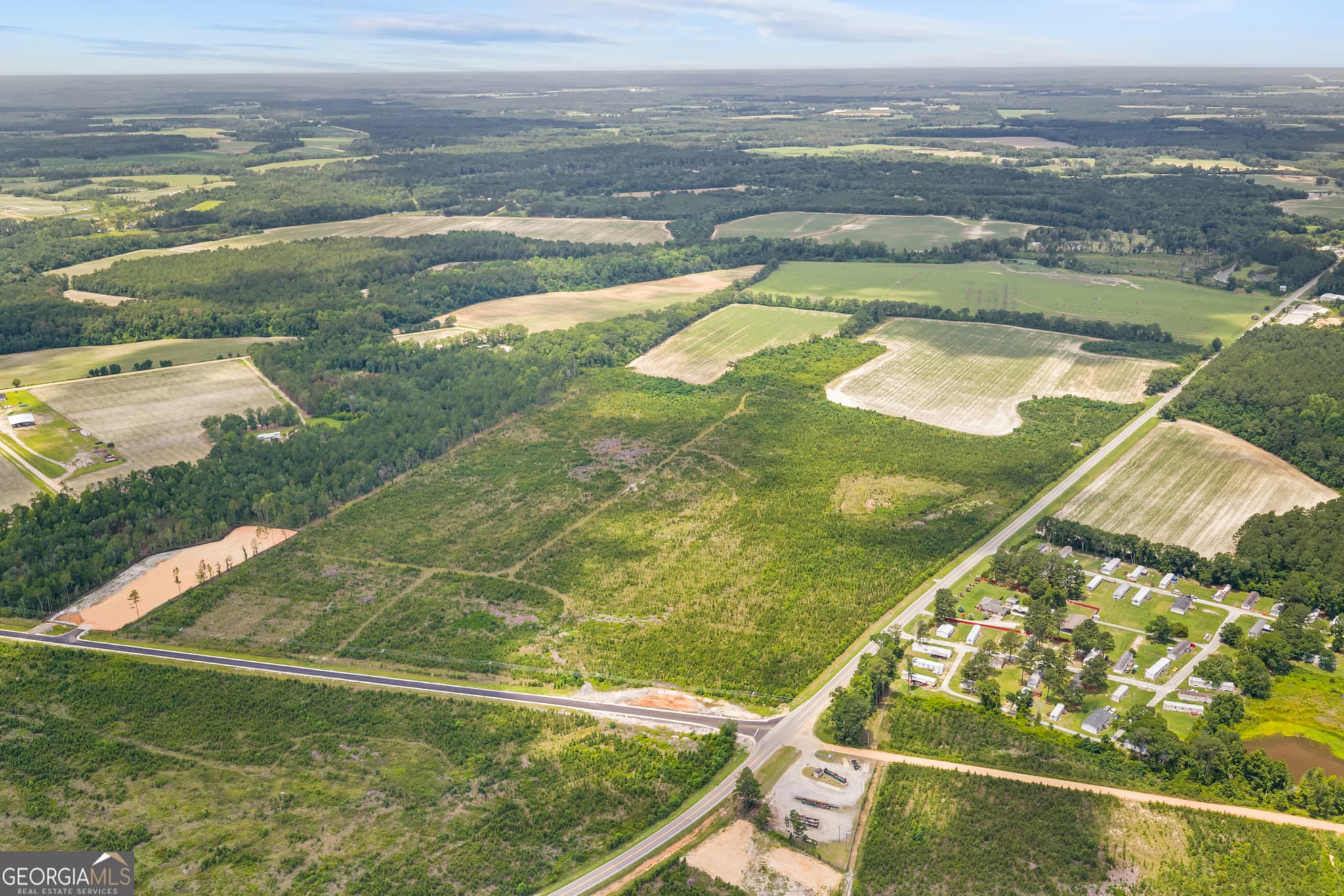 unimproved land for sale at 0 Highway 46, Register, GA 30452 — photo 2